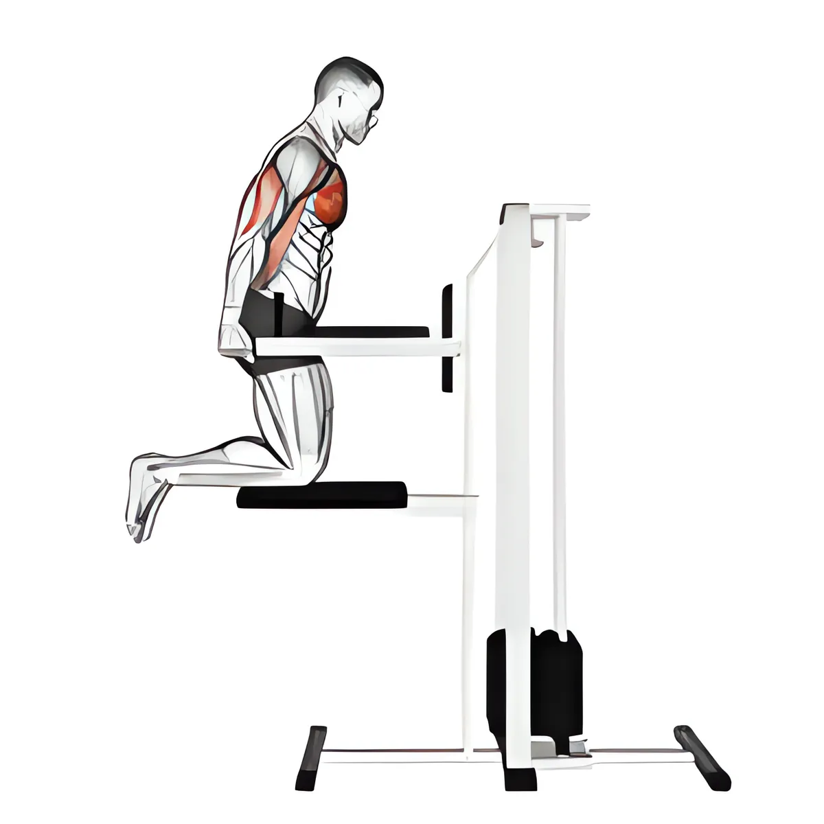 Có hỗ trợ ngực nhúng người (quỳ)