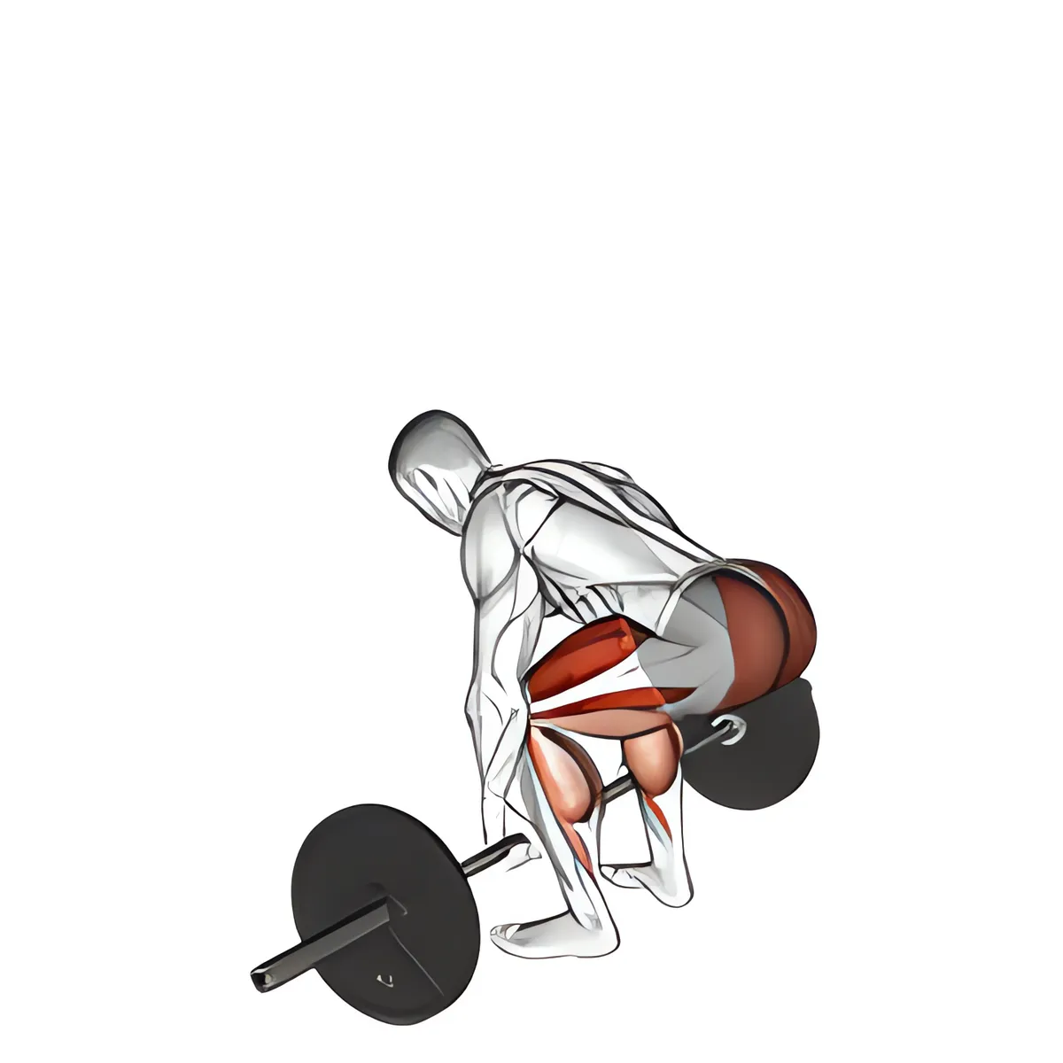 Thanh đòn deadlift