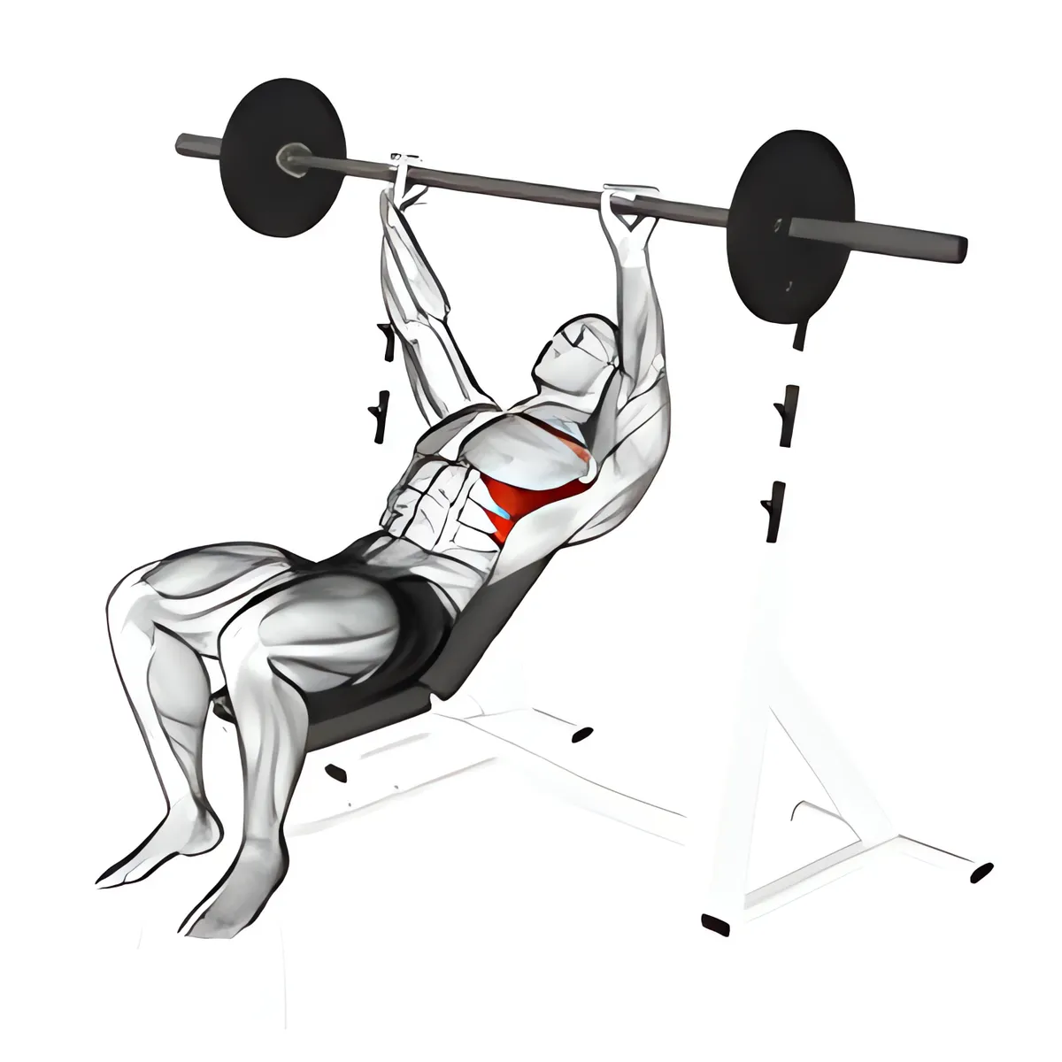 Thanh đòn ghế dốc lên vai nâng