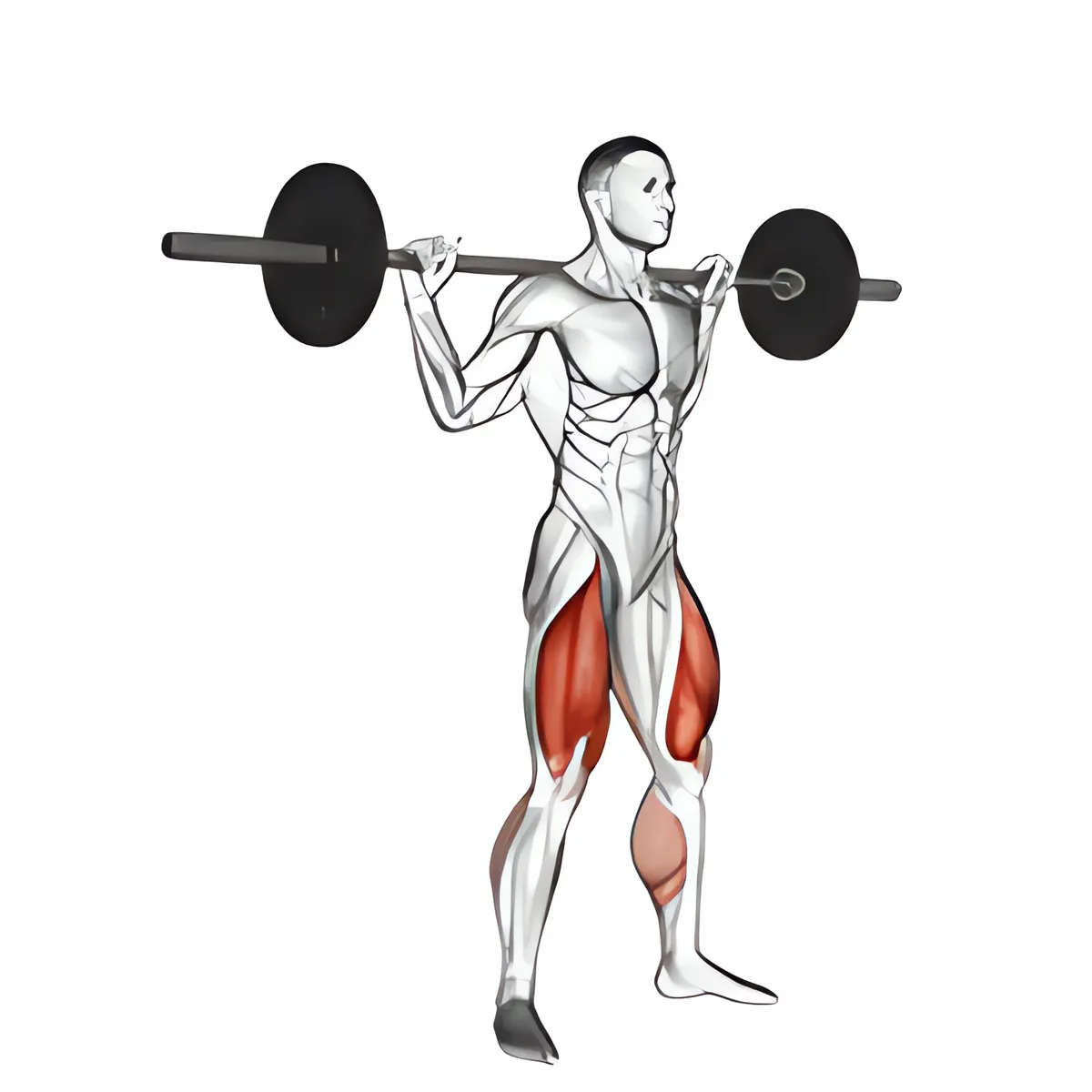 Thanh đòn bật nhảy squat