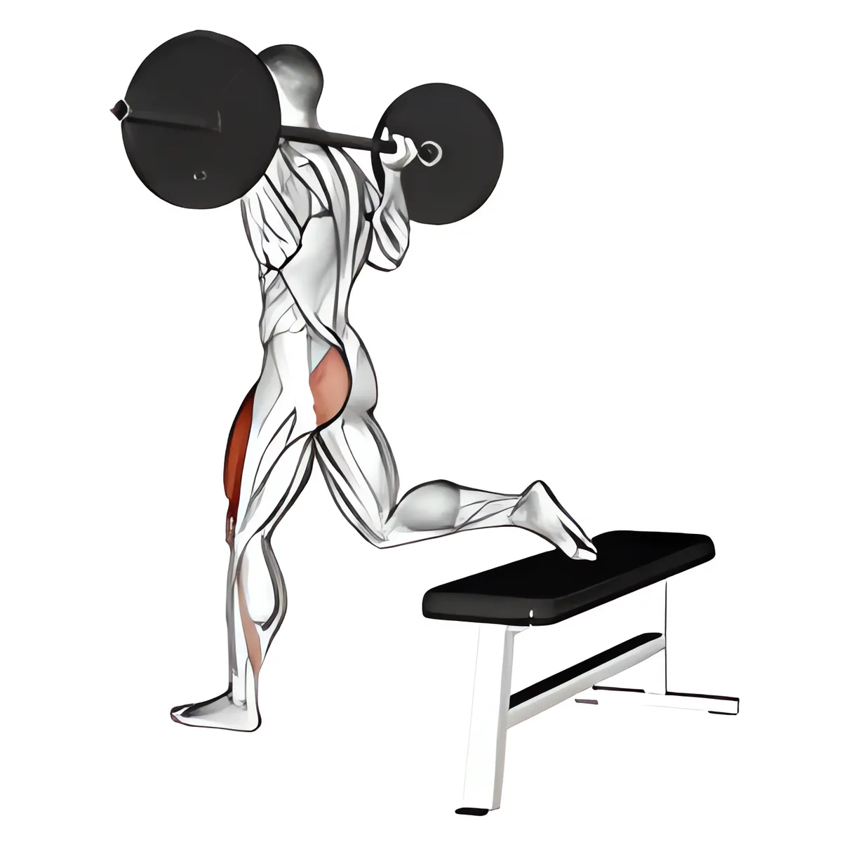 Thanh đòn một chân squat