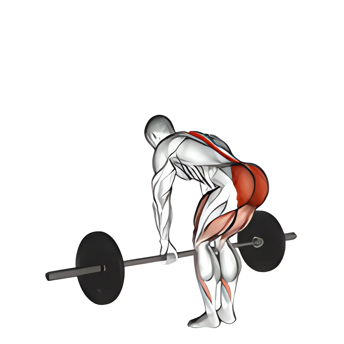 Thanh đòn deadlift Romania