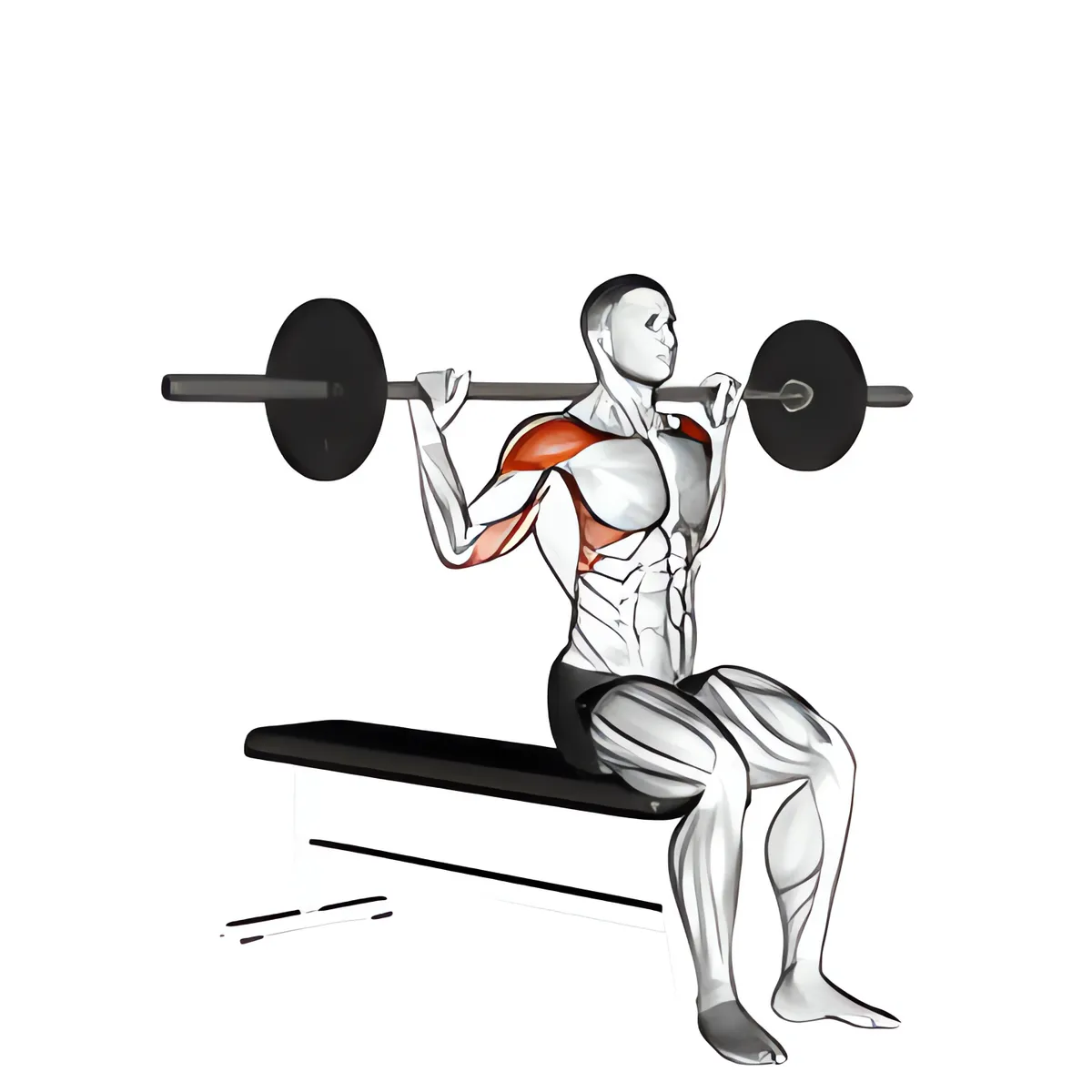 Thanh đòn ngồi phía sau đầu đẩy vai quân đội