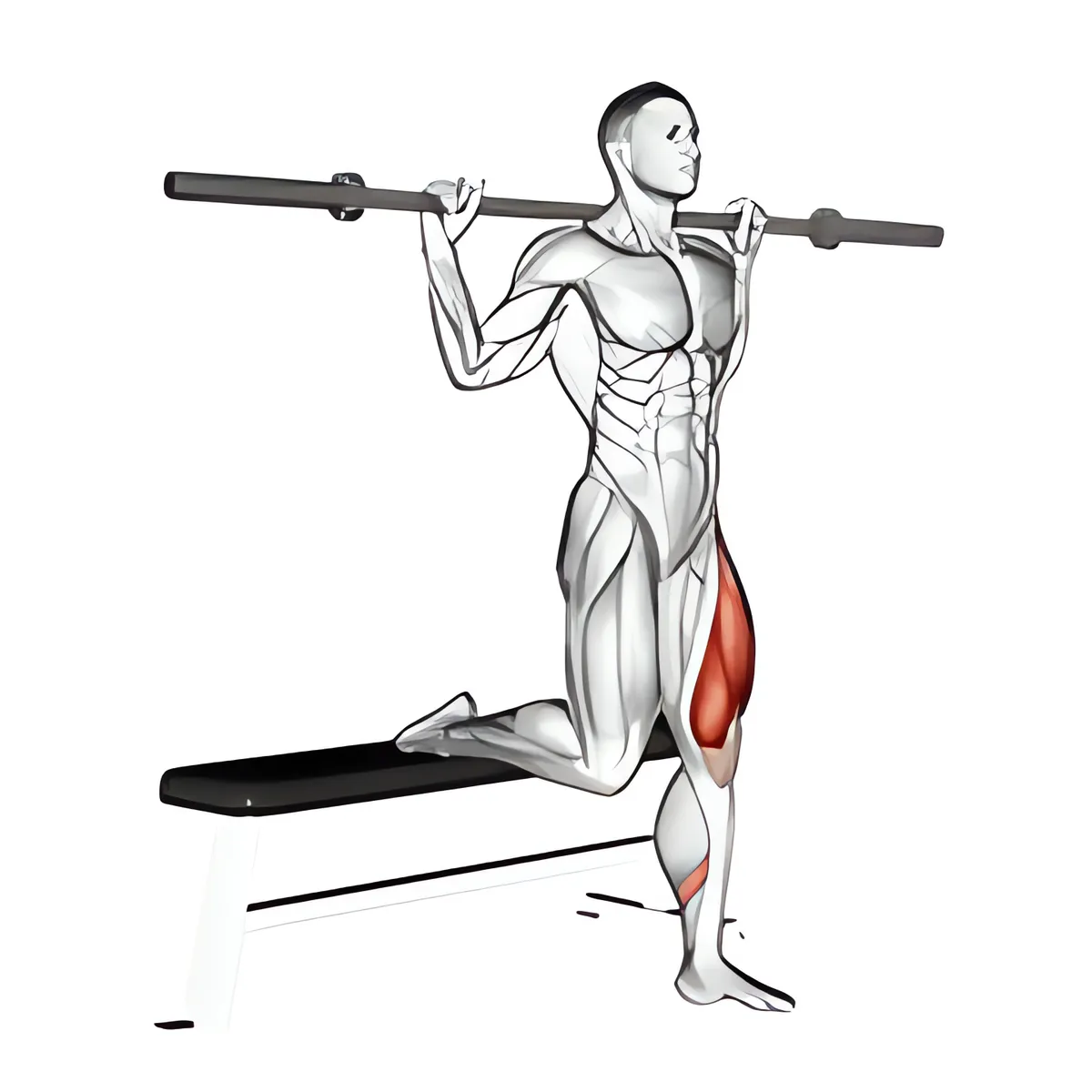 Thanh đòn một chân squat tách chân