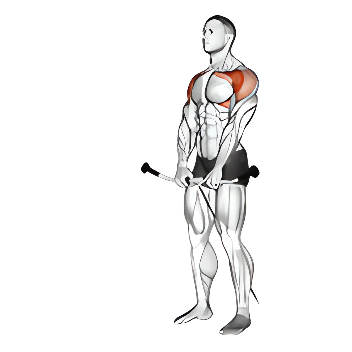 Cáp nâng vai trước