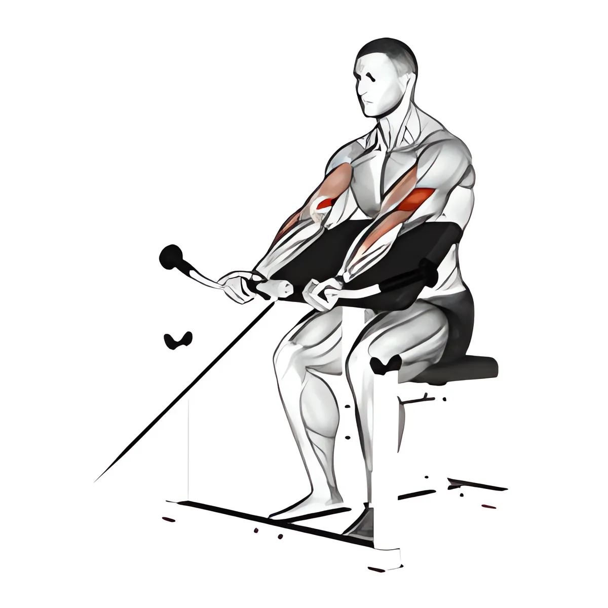 Cáp cuốn tay trước ghế Scott