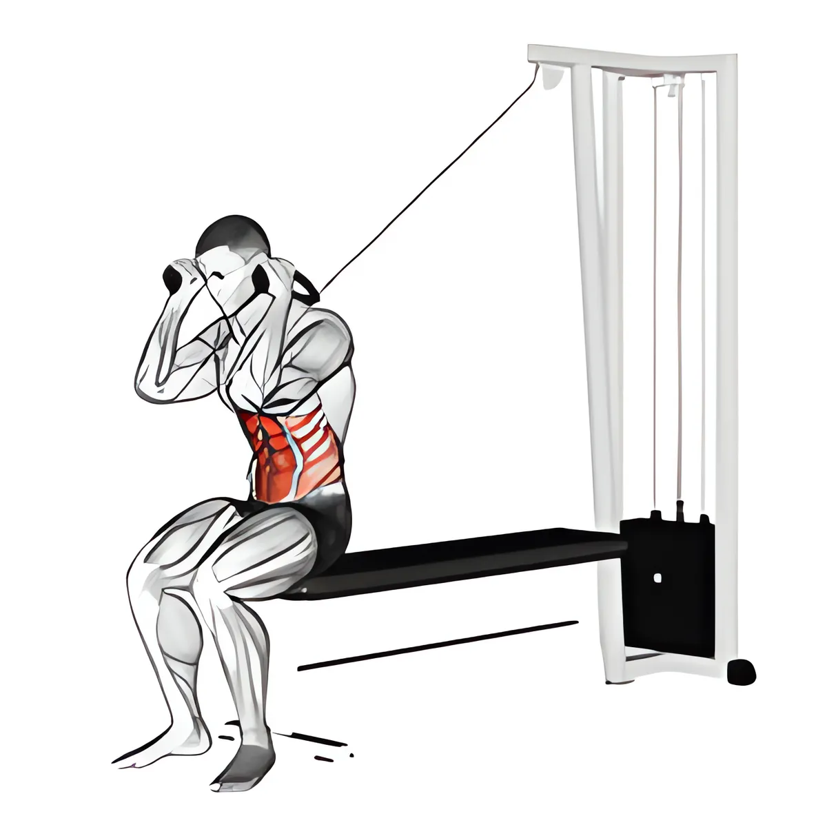 Cáp ngồi gập bụng