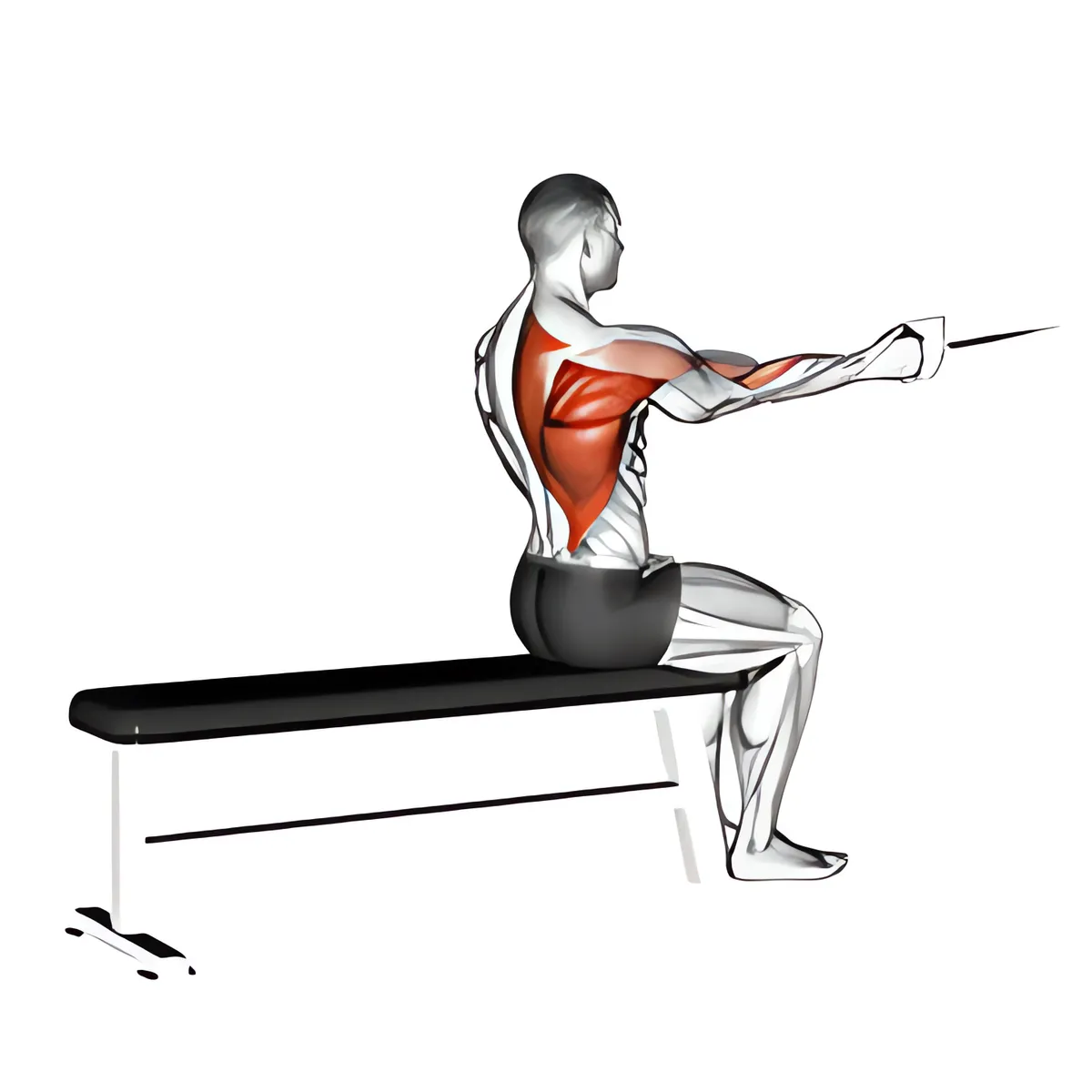 Cáp ngồi một tay luân phiên kéo