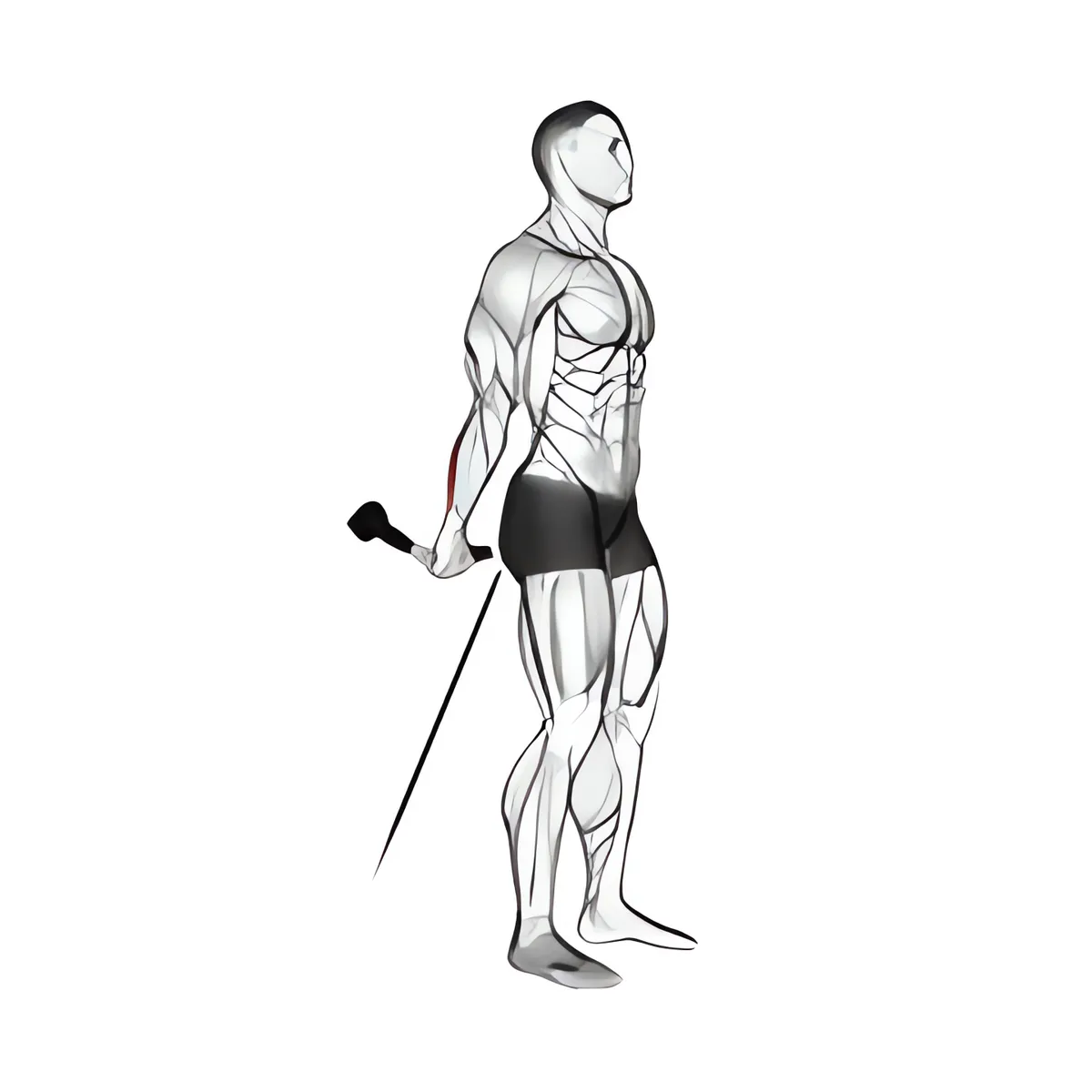 Cáp đứng lưng cuốn cổ tay