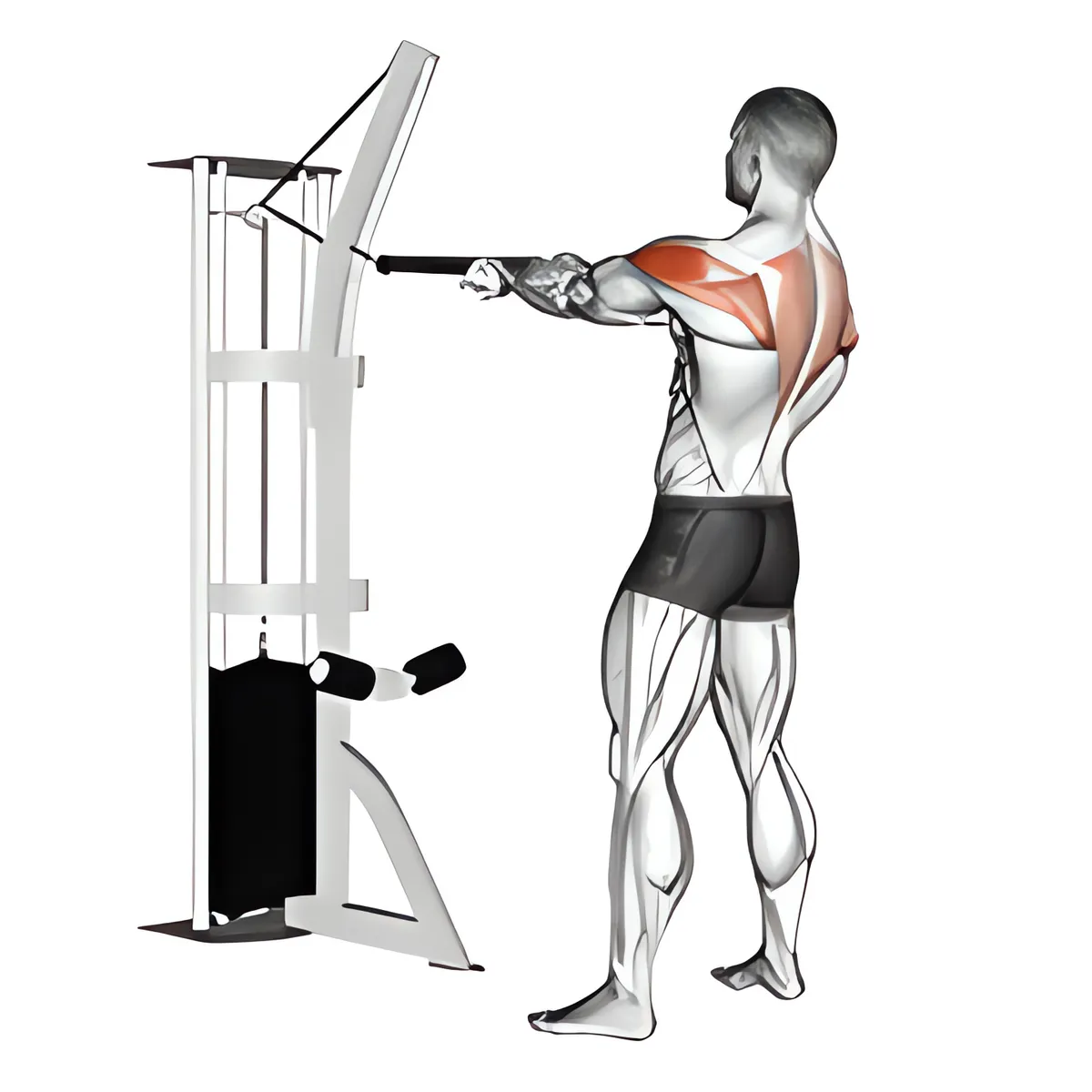 Cáp đứng vai sau kéo (với dây thừng)