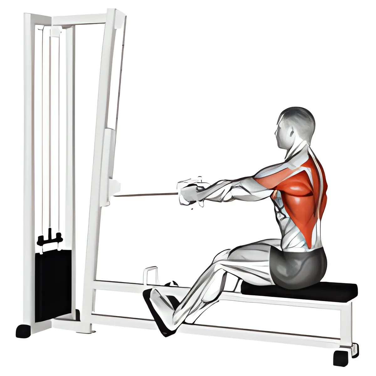 Cáp thẳng lưng kéo ngồi