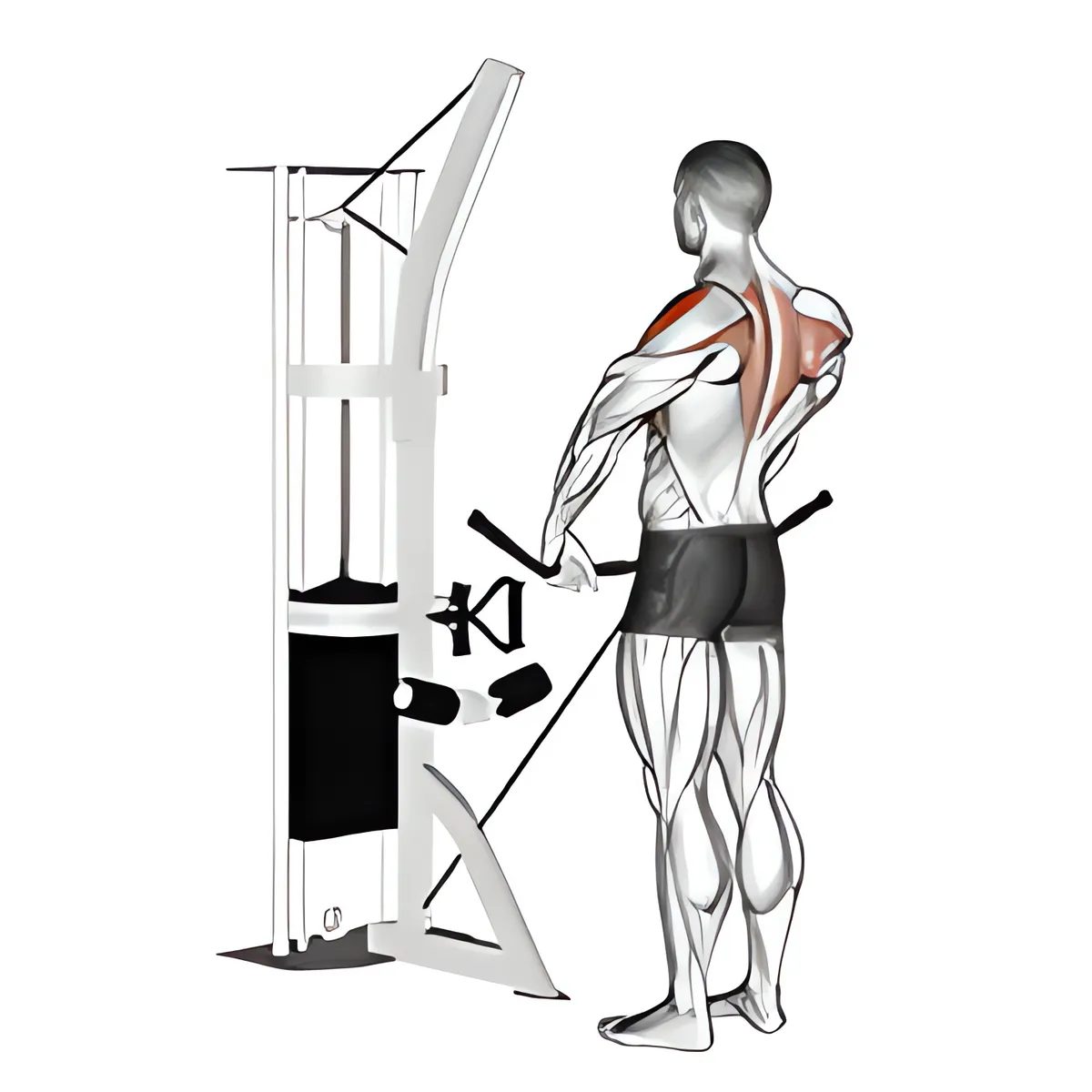 Cáp kéo tạ thẳng đứng
