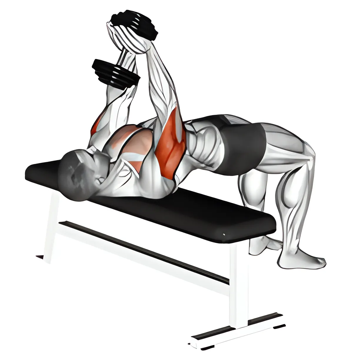 Đẩy tạ đơn tay hẹp trên ghế