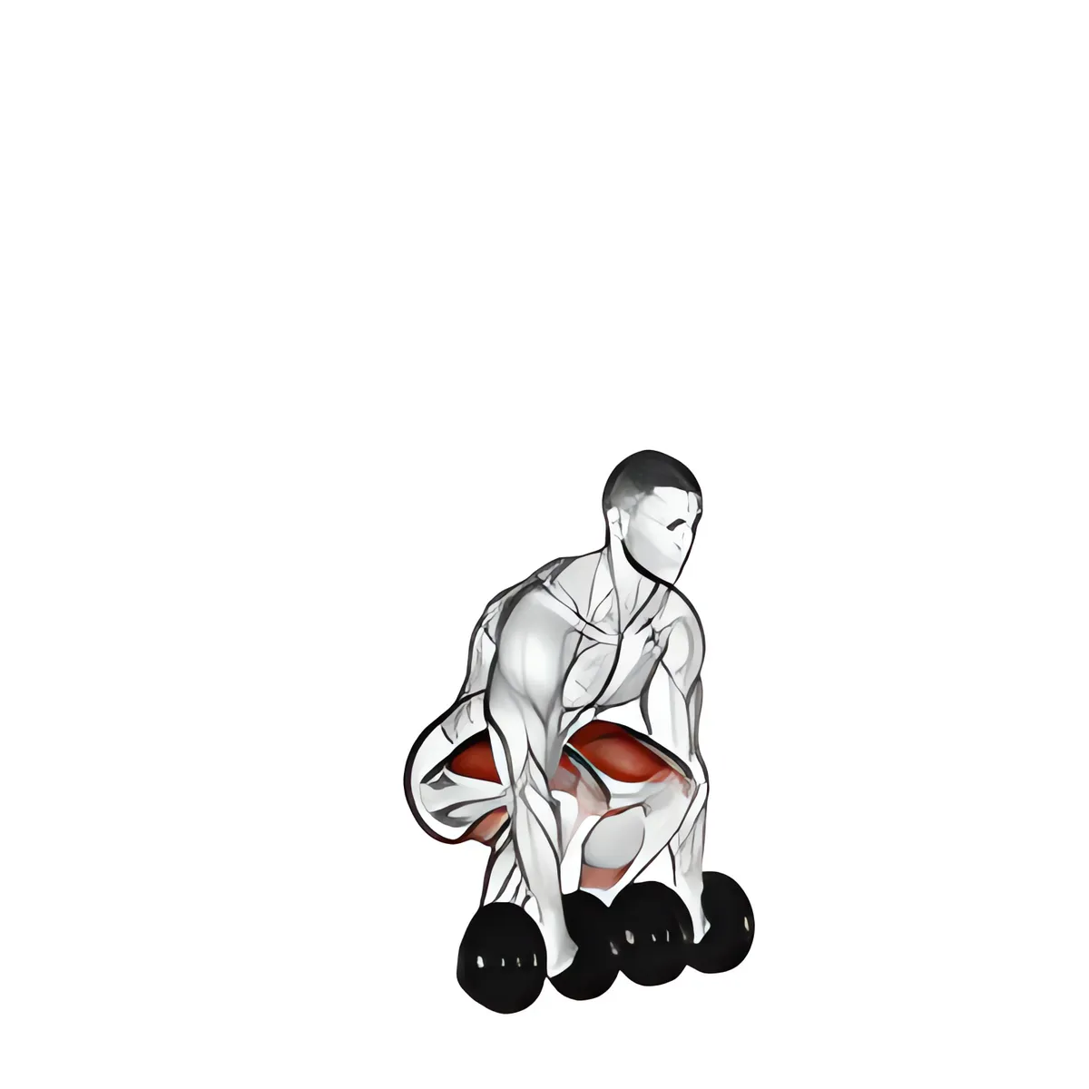 Tạ đơn deadlift