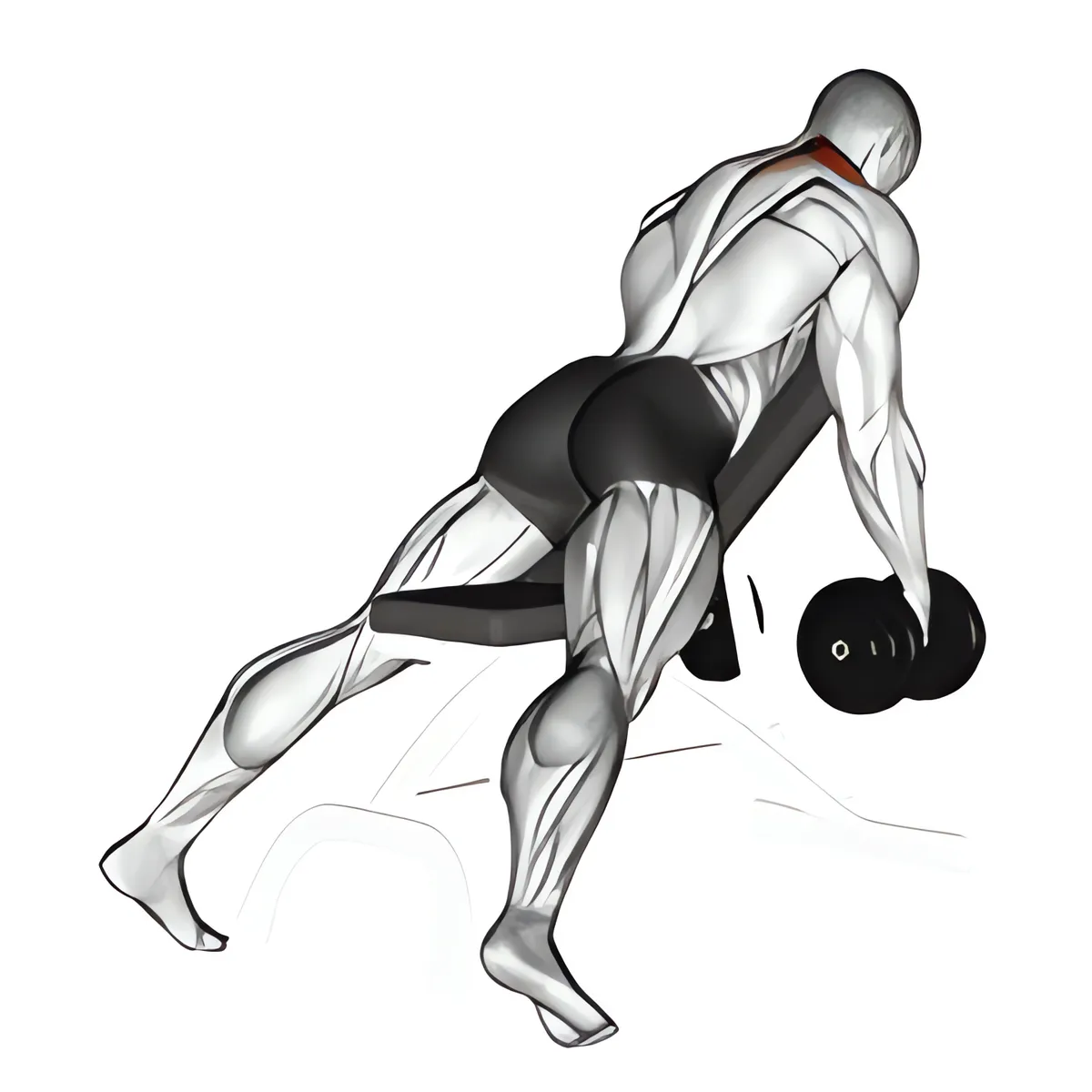 Tạ đơn ghế dốc xuống nhún vai biến thể 2