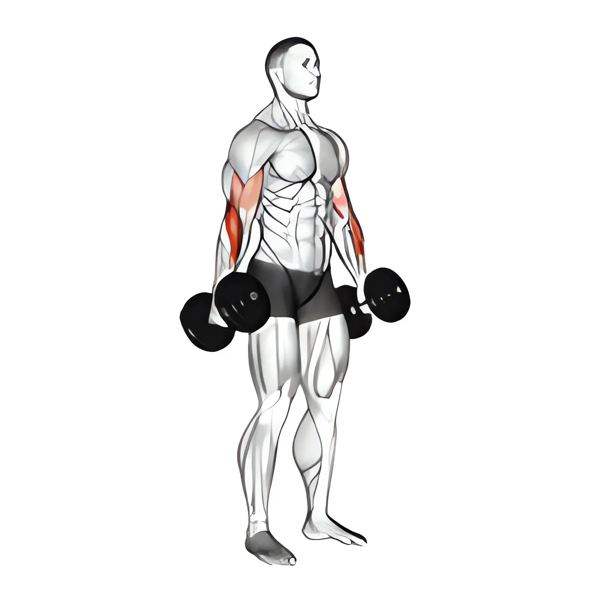 Tạ đơn cuốn búa biến thể 2