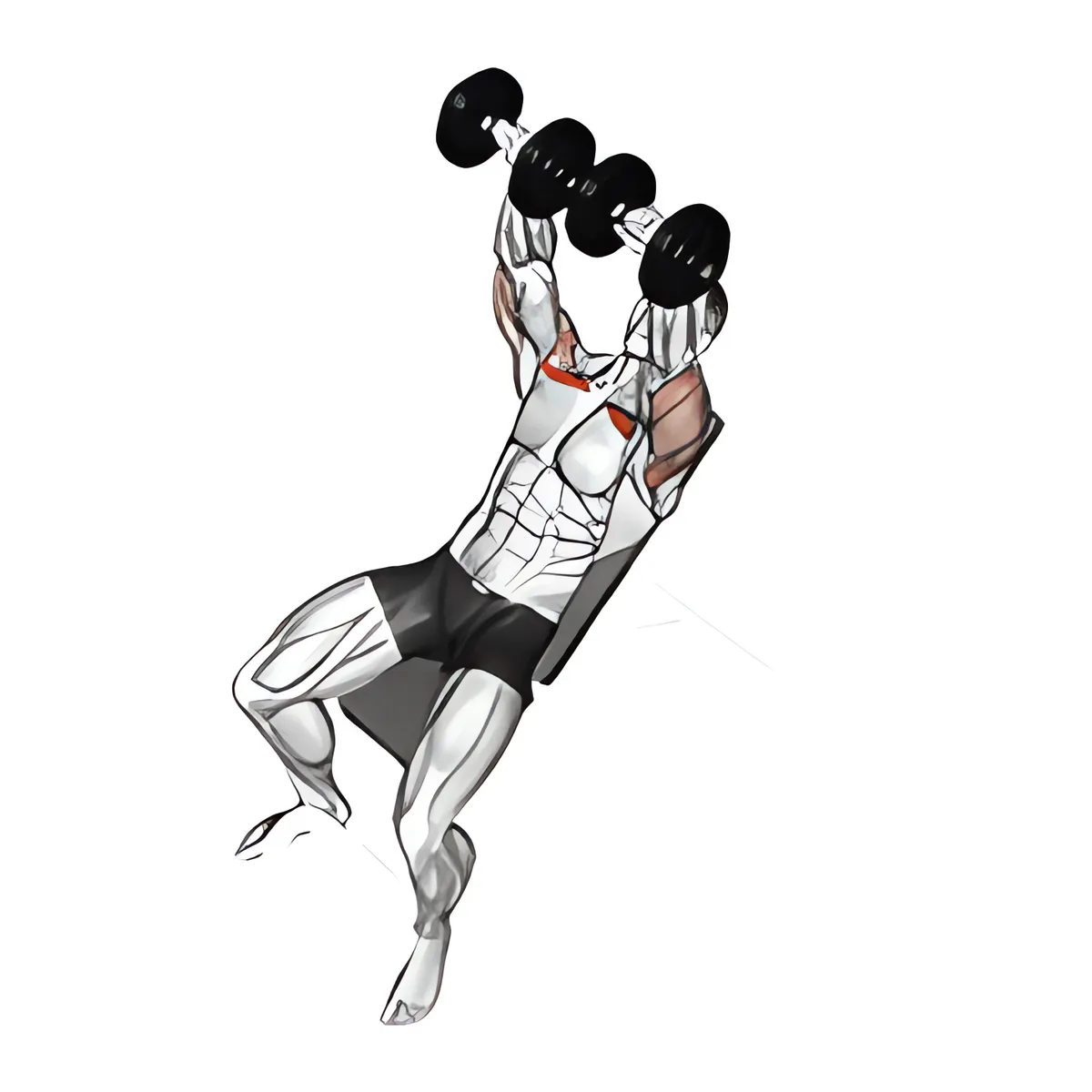 Tạ đơn ghế dốc lên đẩy ngực trên ghế