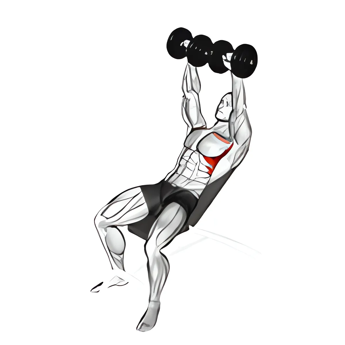 Tạ đơn ghế dốc lên vai nâng