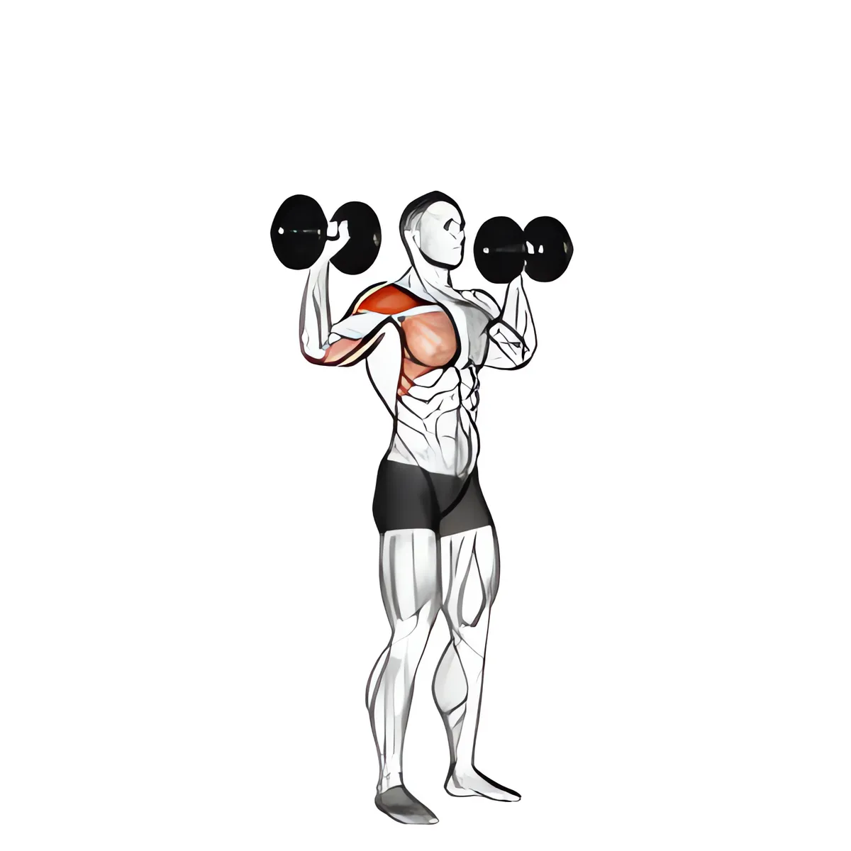 Tạ đơn một tay đẩy vai