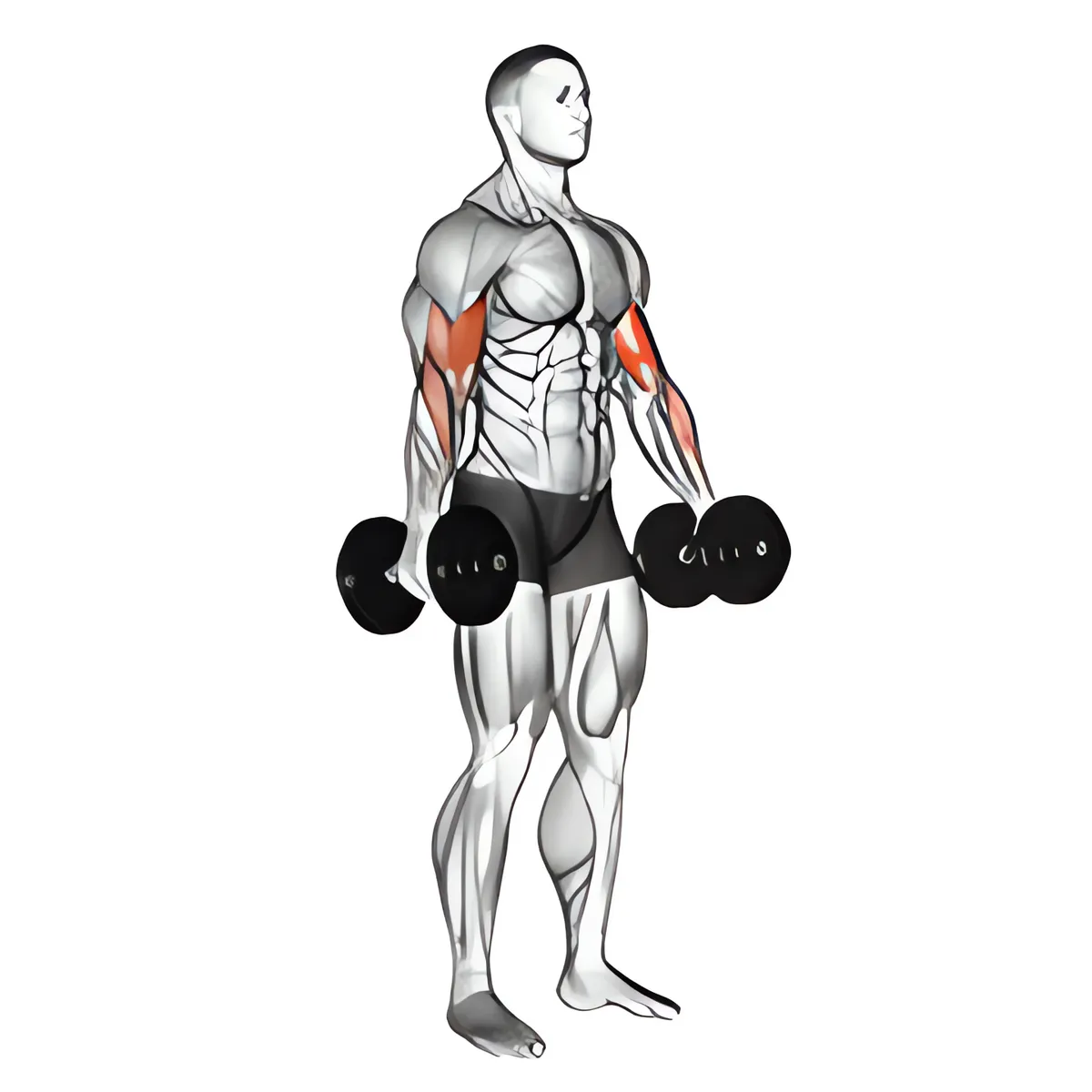 Tạ đơn đứng cuốn tay trước