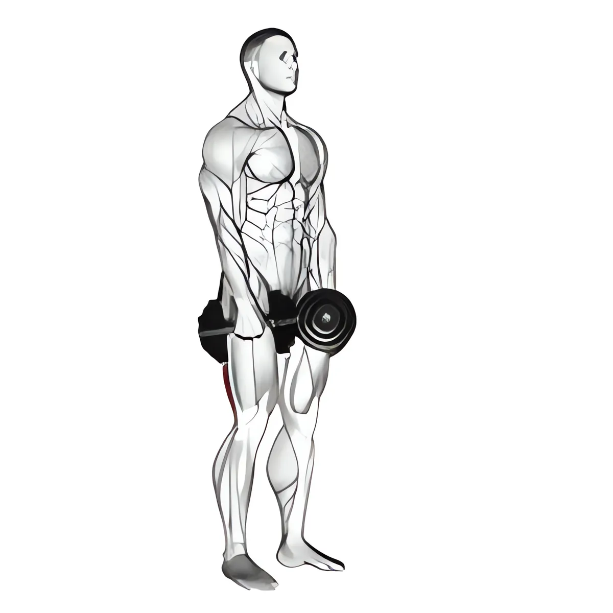 Tạ đơn deadlift chân cứng