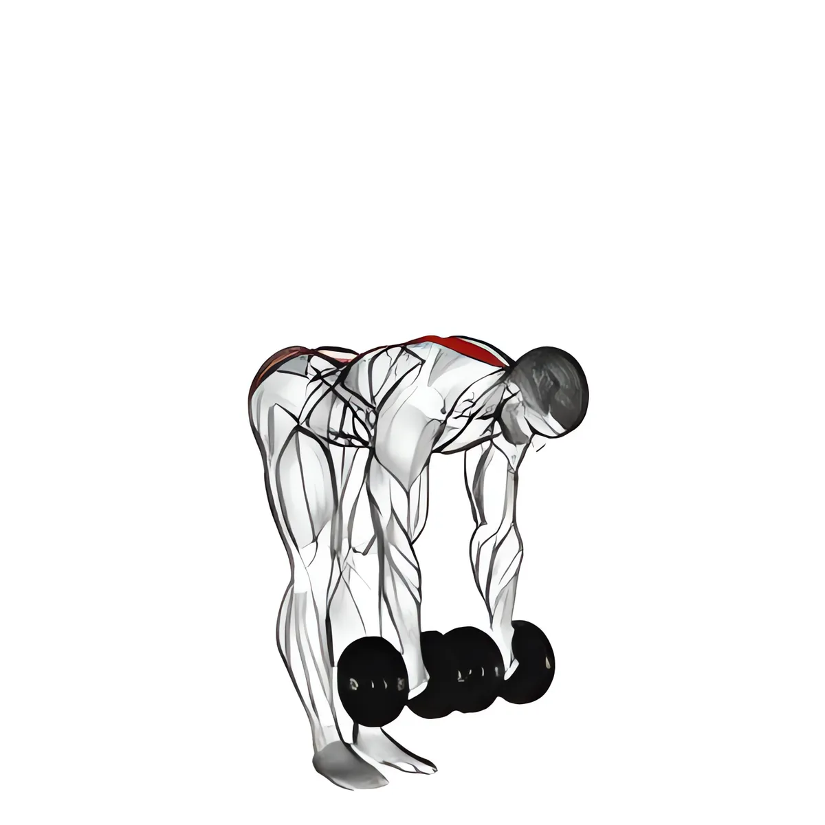 Tạ đơn deadlift chân thẳng