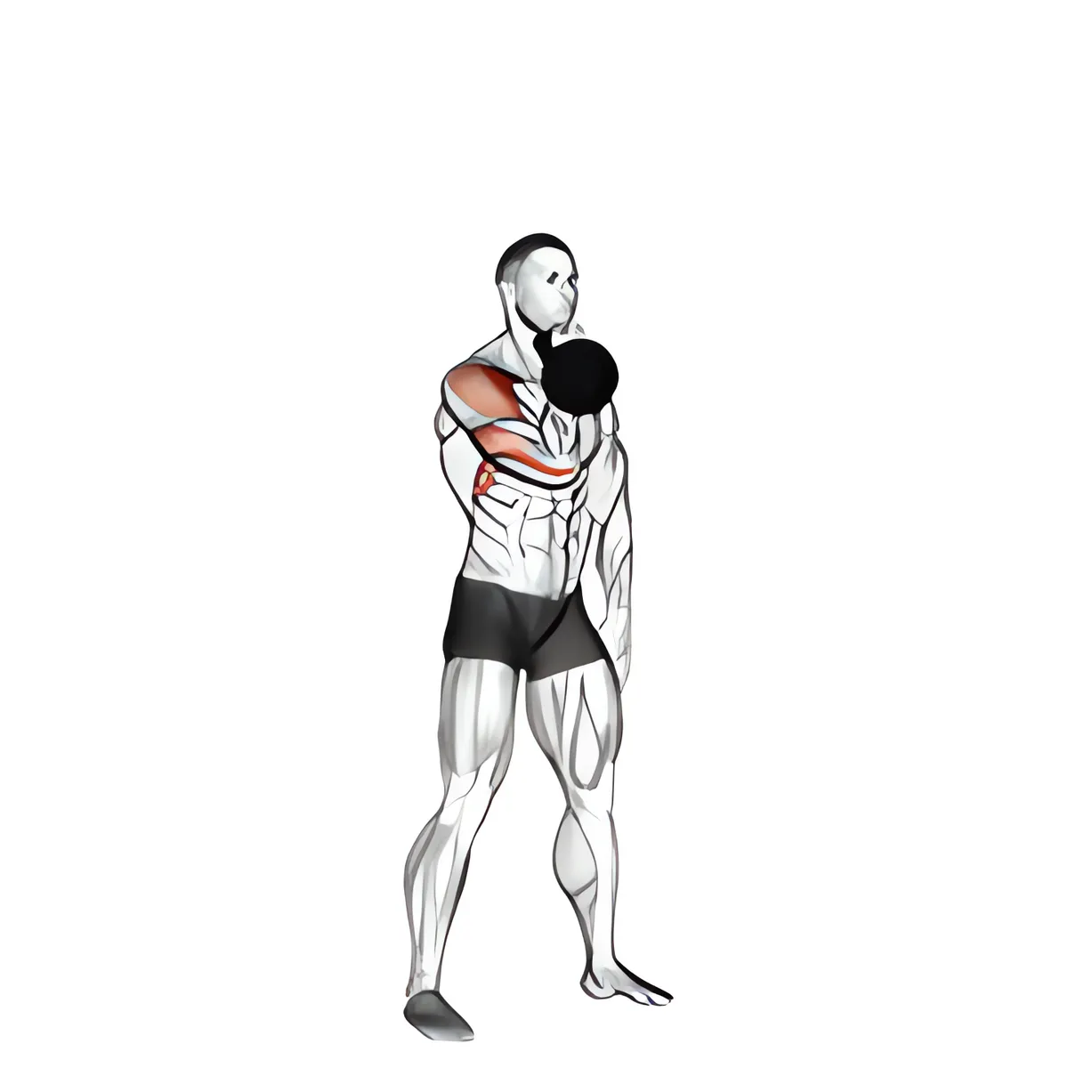 Tạ chuông arnold đẩy