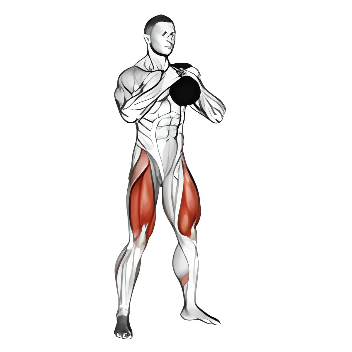 Tạ chuông goblet squat