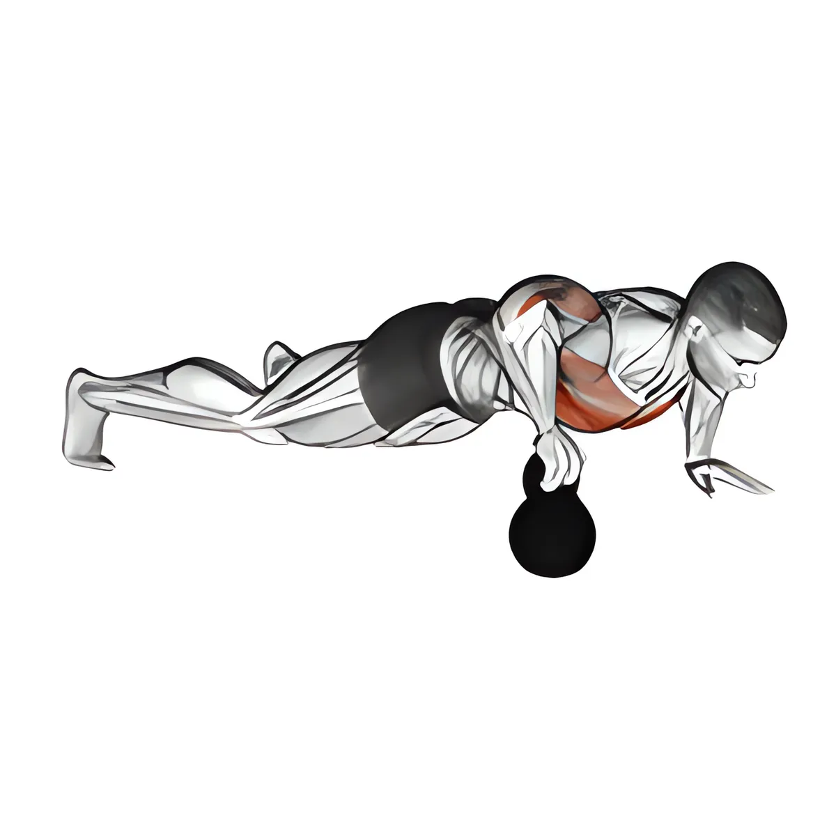 Tạ chuông plyo chống đẩy