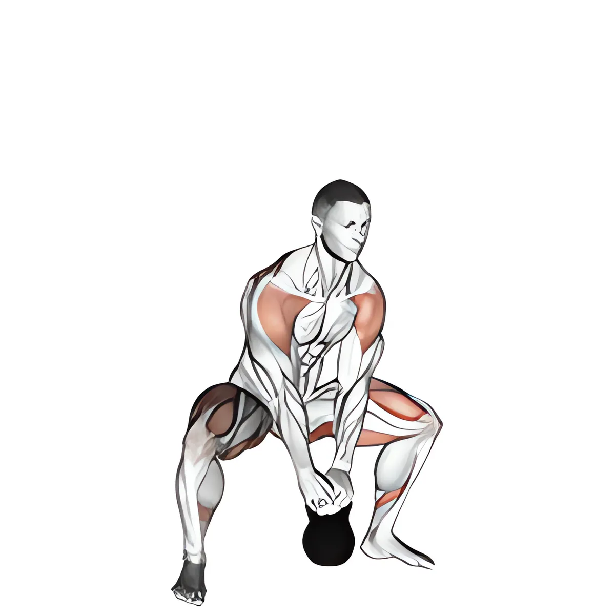 Tạ chuông sumo cao kéo