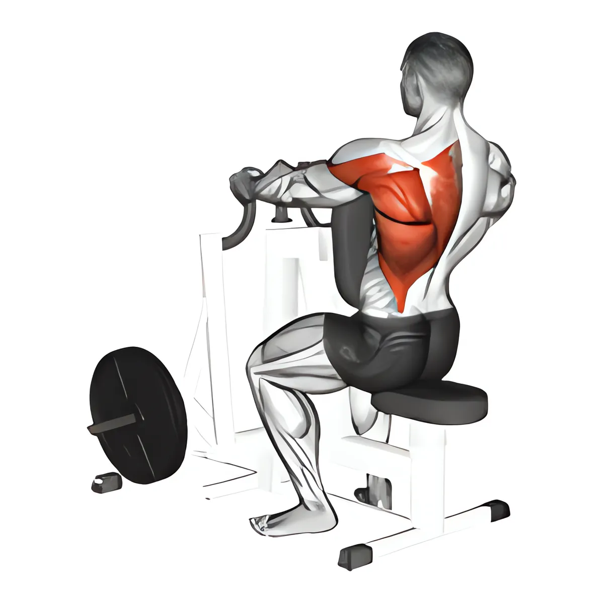 Máy luân phiên hẹp kiểu nắm kéo ngồi