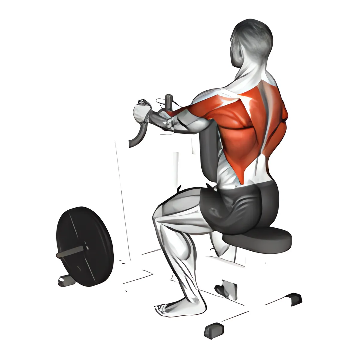 Máy hẹp kiểu nắm kéo ngồi