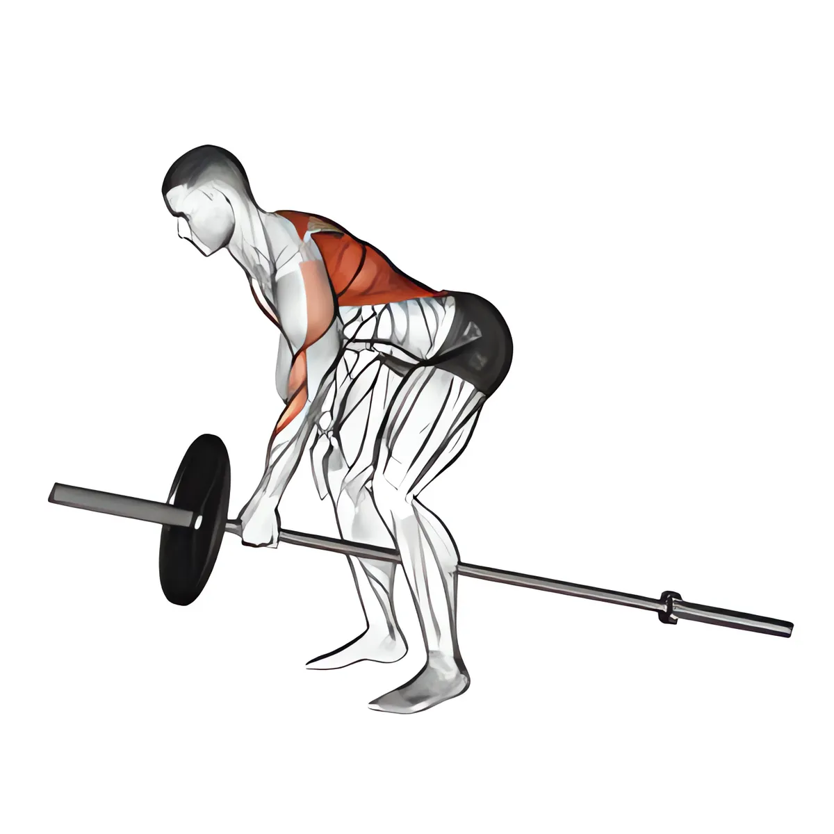 Máy một tay kéo tạ cúi người