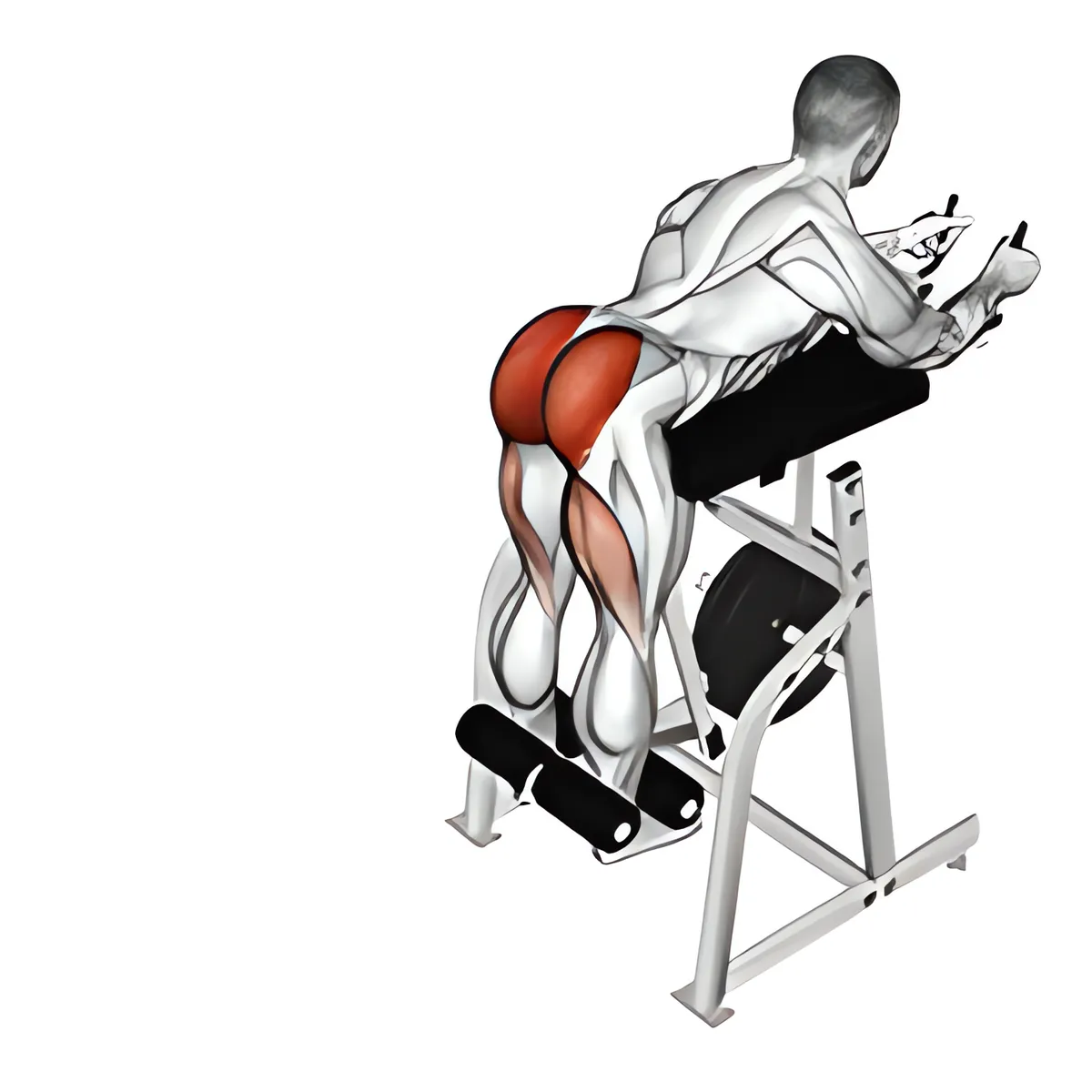 Máy ngược duỗi lưng