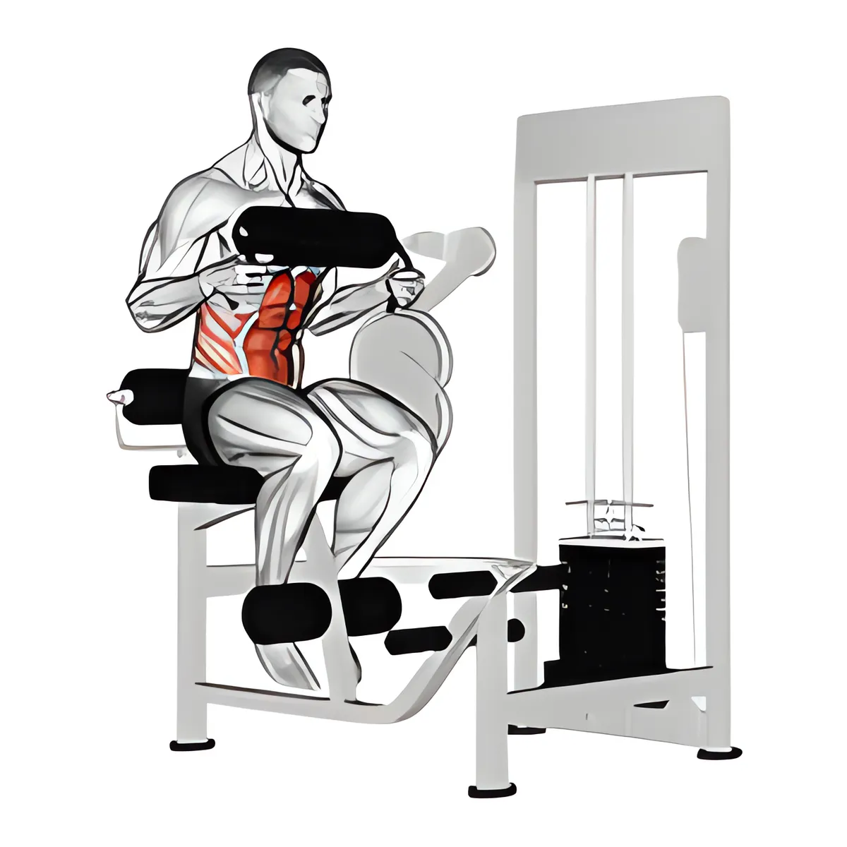 Máy gập bụng ngồi với đệm ngực
