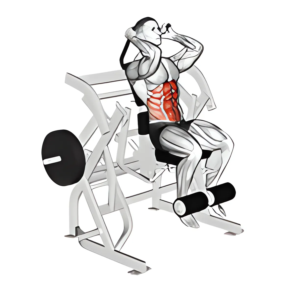 Máy ngồi nâng chân gập bụng