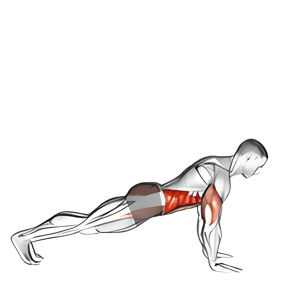 Chống đẩy sang bên plank
