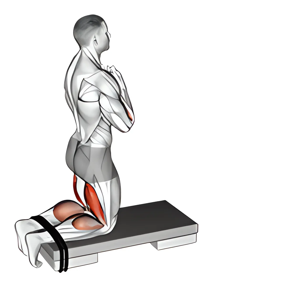 tự có hỗ trợ ngược gập gối (trên sàn)