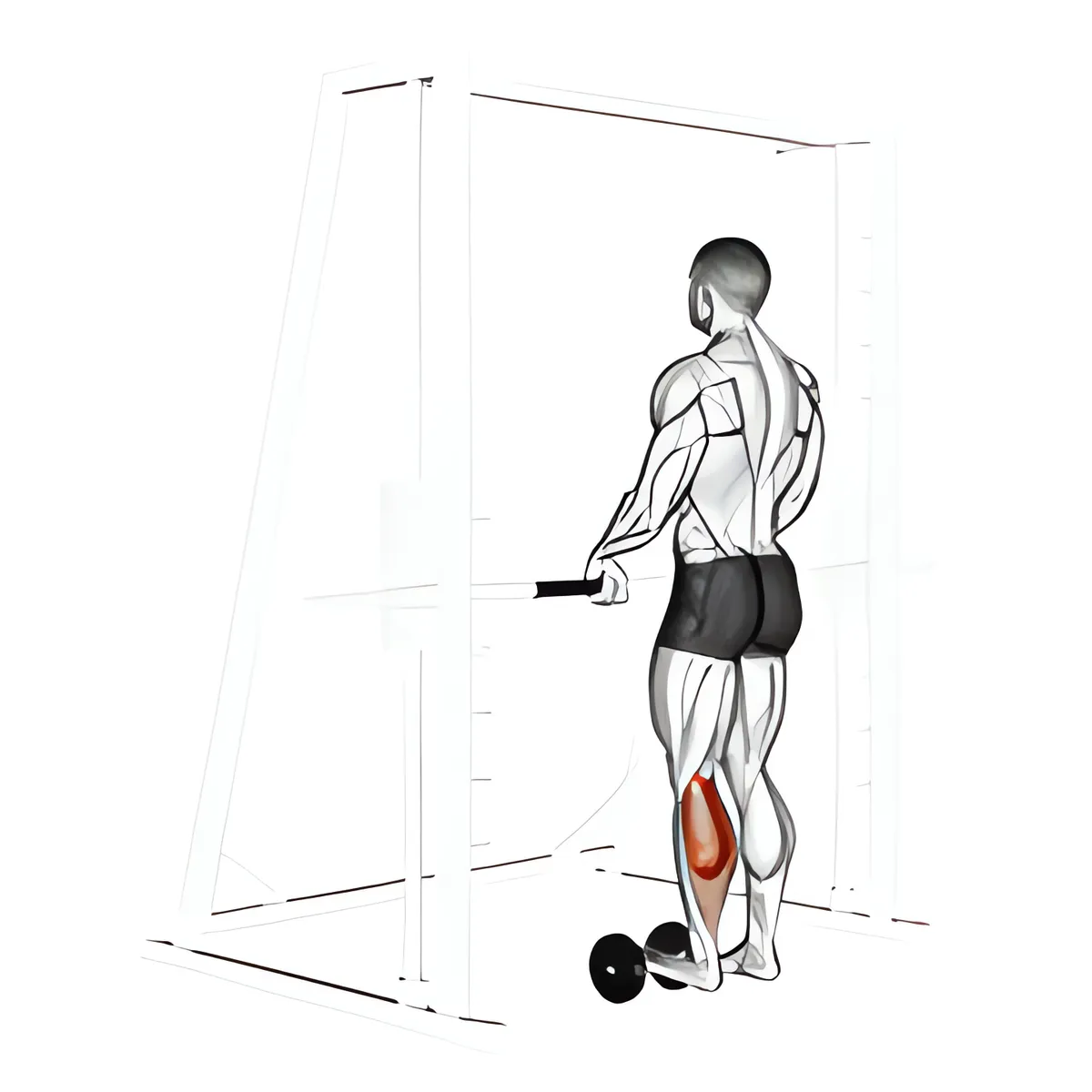Nhón bắp chân một chân với tạ đơn