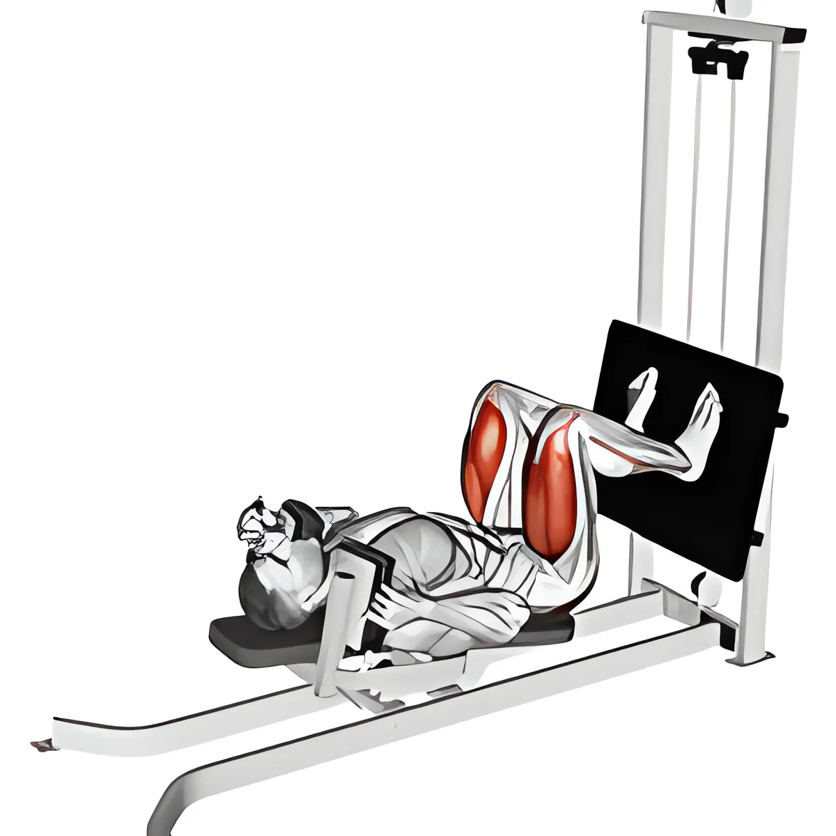Máy trượt nằm squat