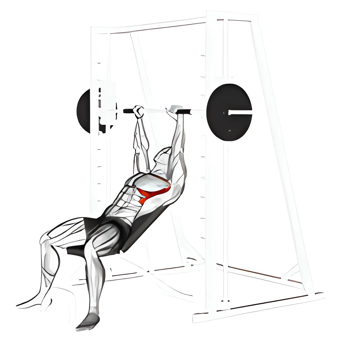 Nâng vai trên ghế dốc với máy Smith