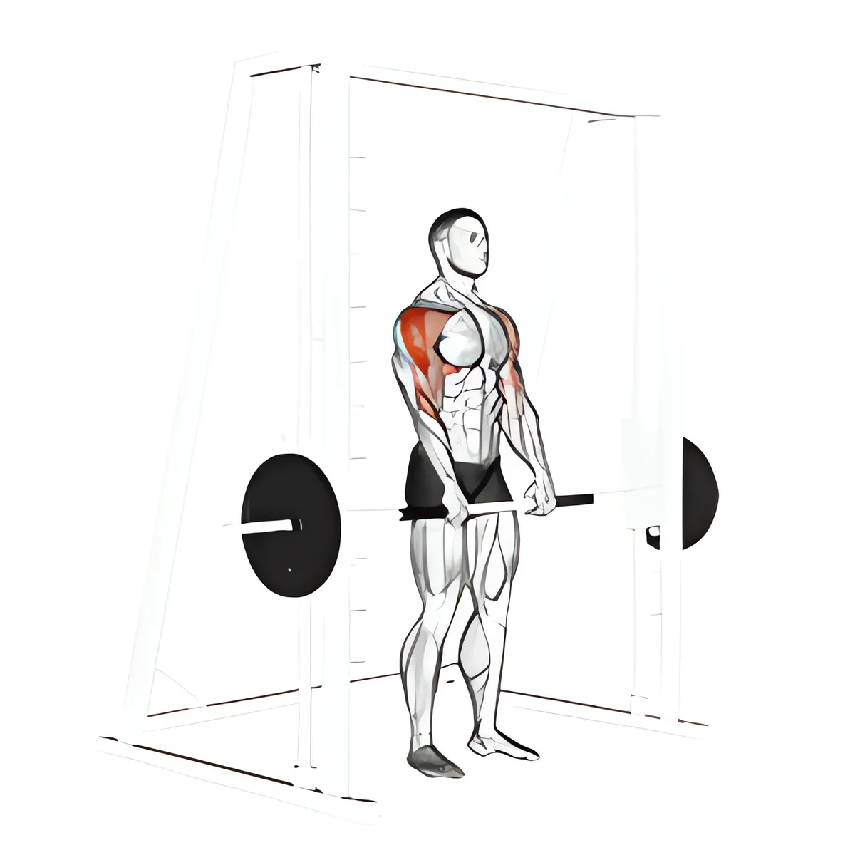 Máy Smith kéo tạ thẳng đứng