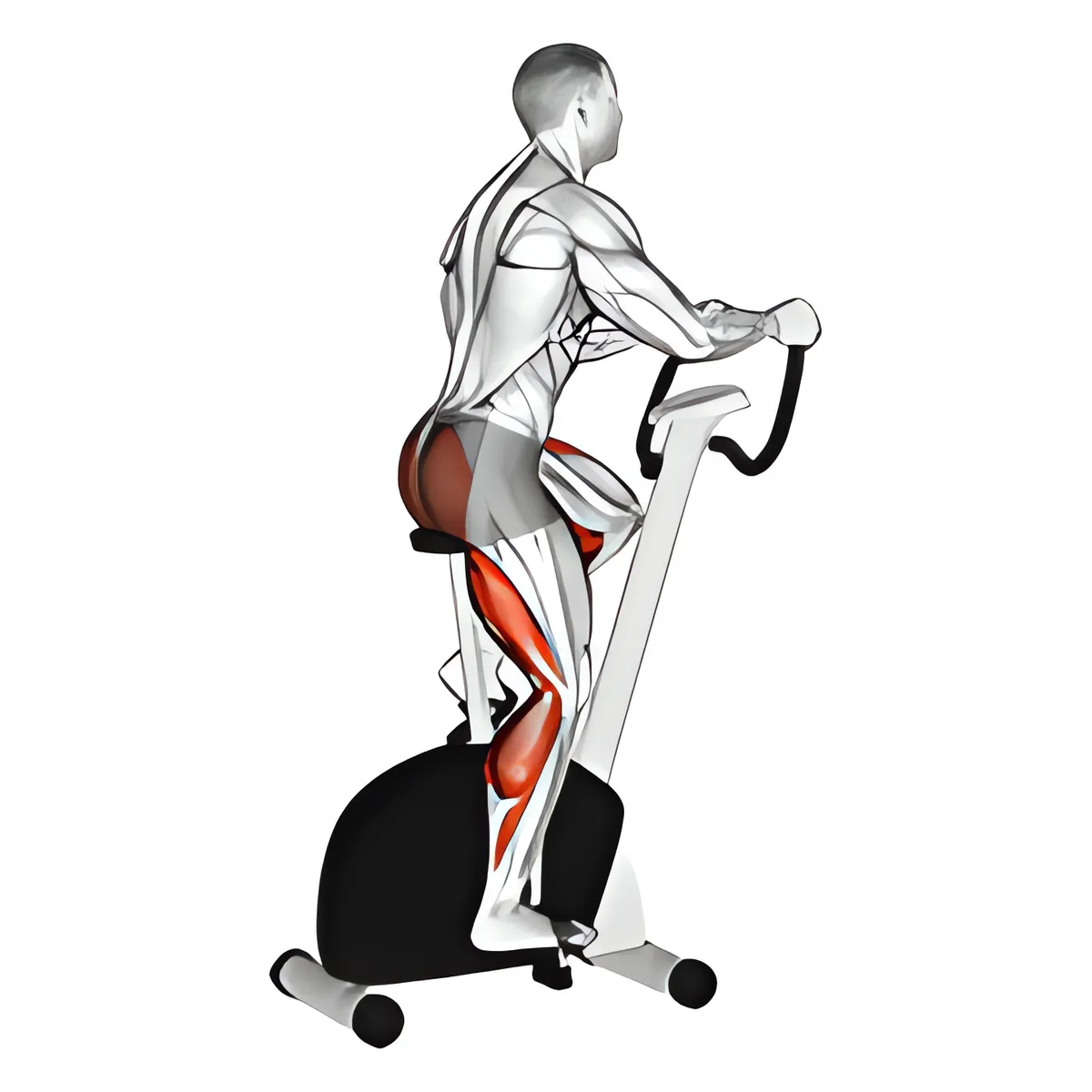 Đạp xe tại chỗ nhẹ
