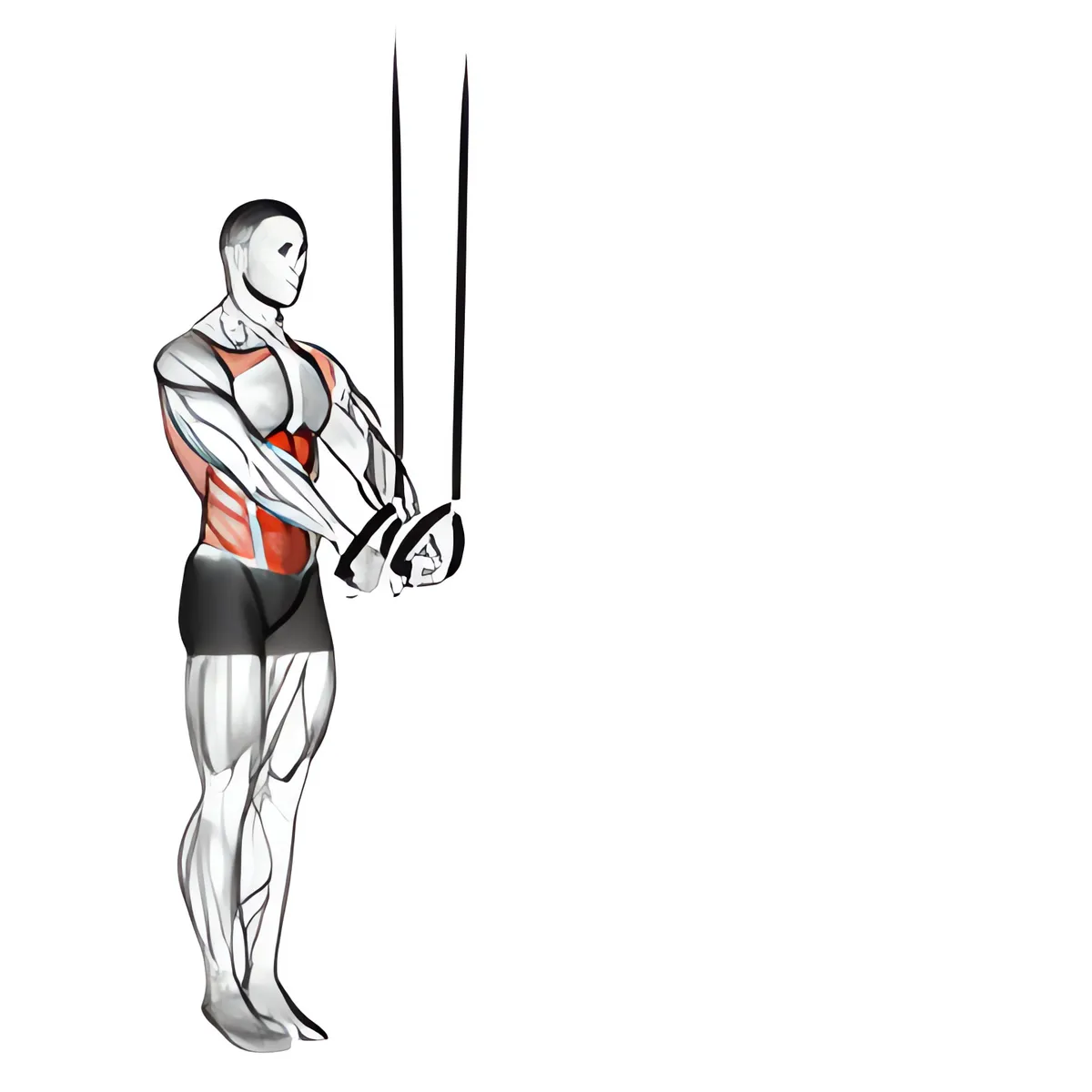 Duỗi bụng với dây treo