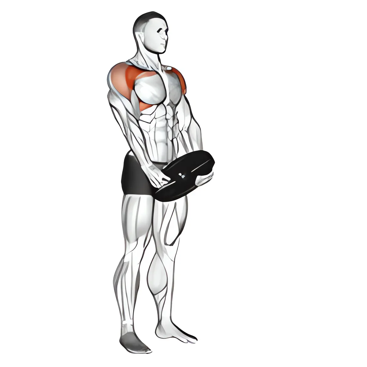 Có tạ nâng vai trước