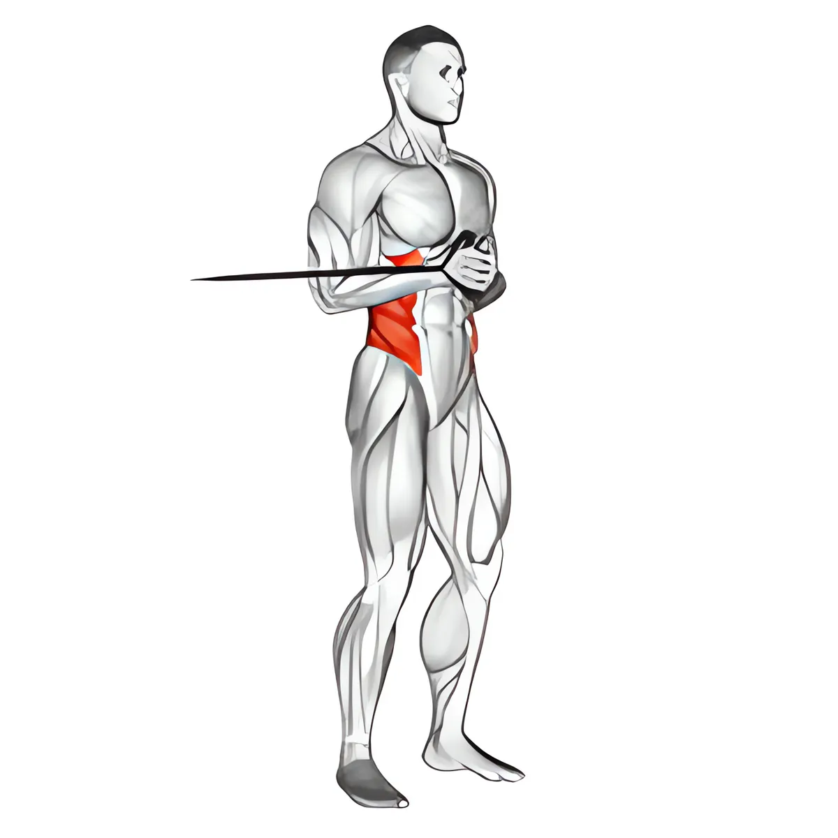 Dây kháng lực ngang pallof đẩy