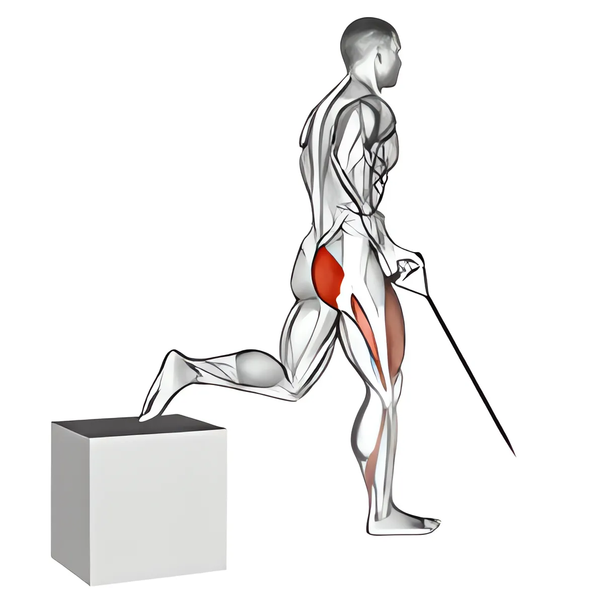 Dây kháng lực một tay một chân squat tách chân