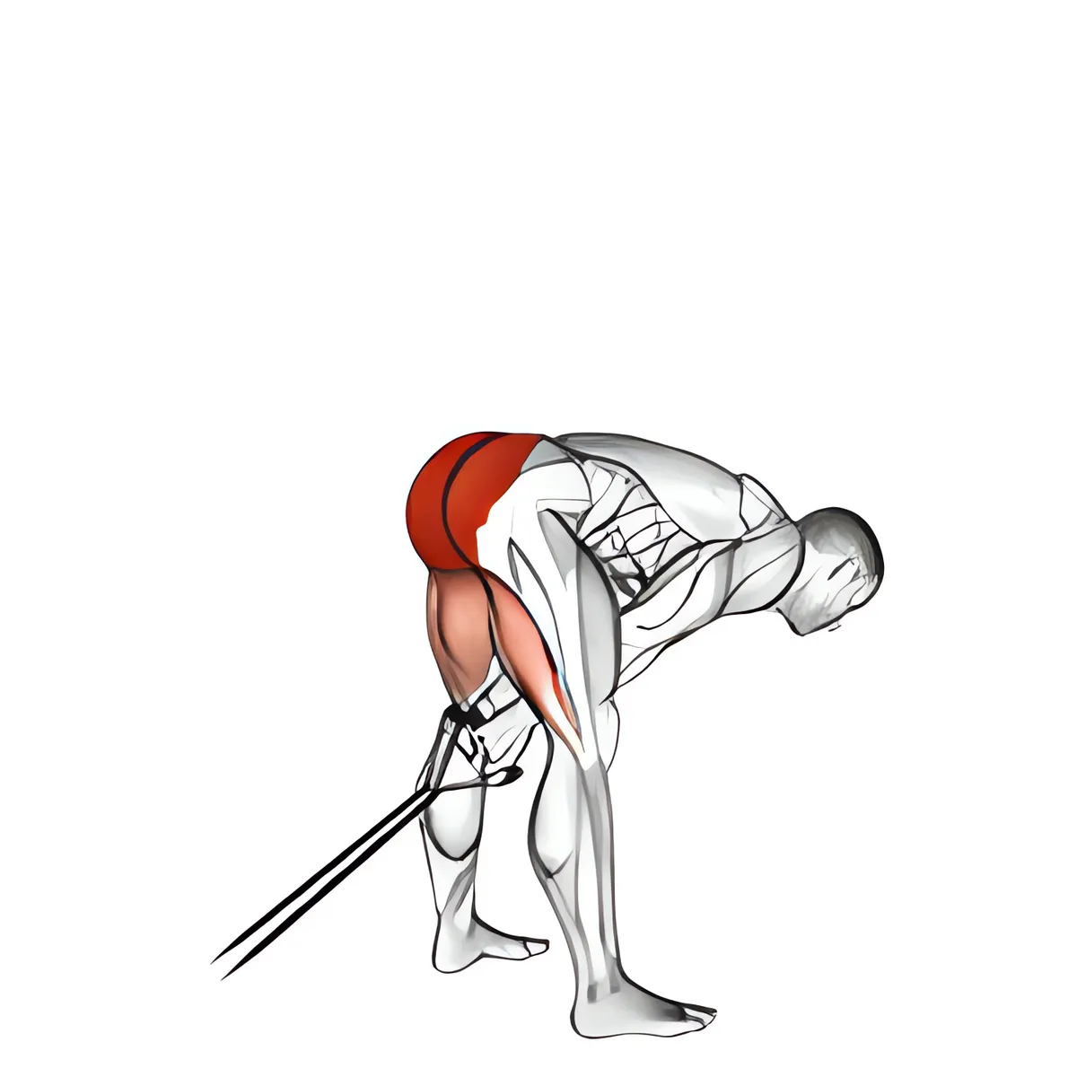 Dây kháng lực kéo qua chân