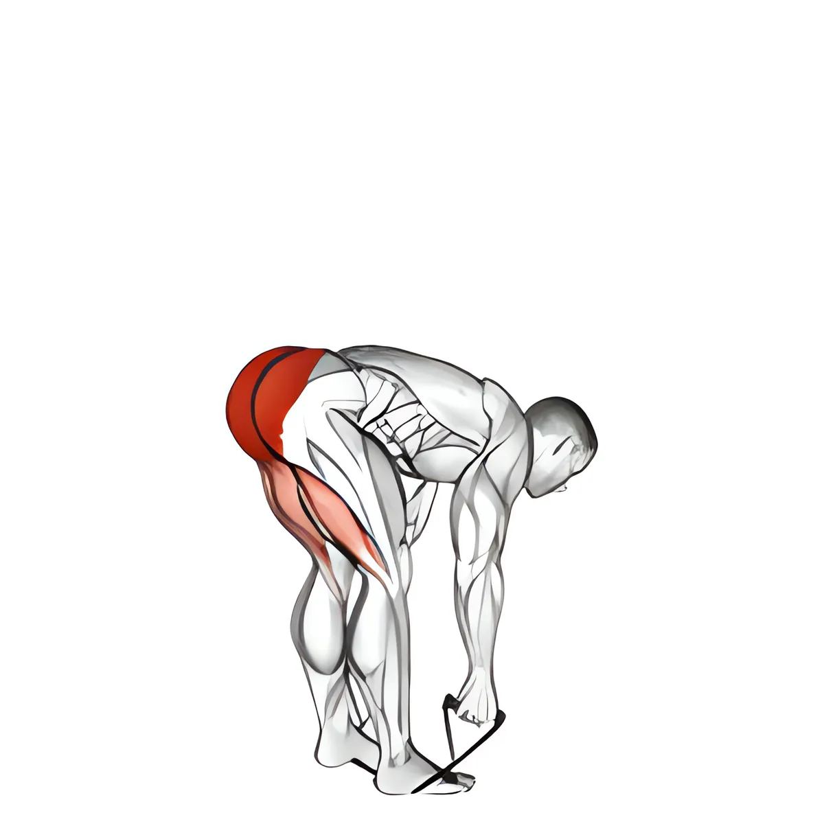 Dây kháng lực deadlift chân cứng