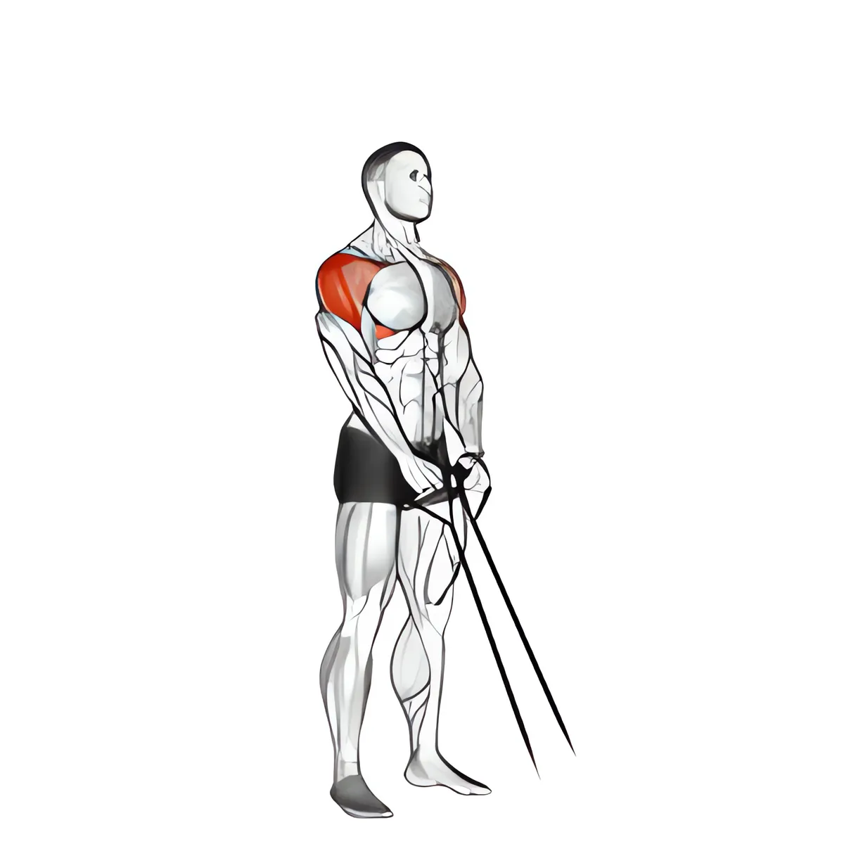 Nâng tay chữ Y với dây kháng lực